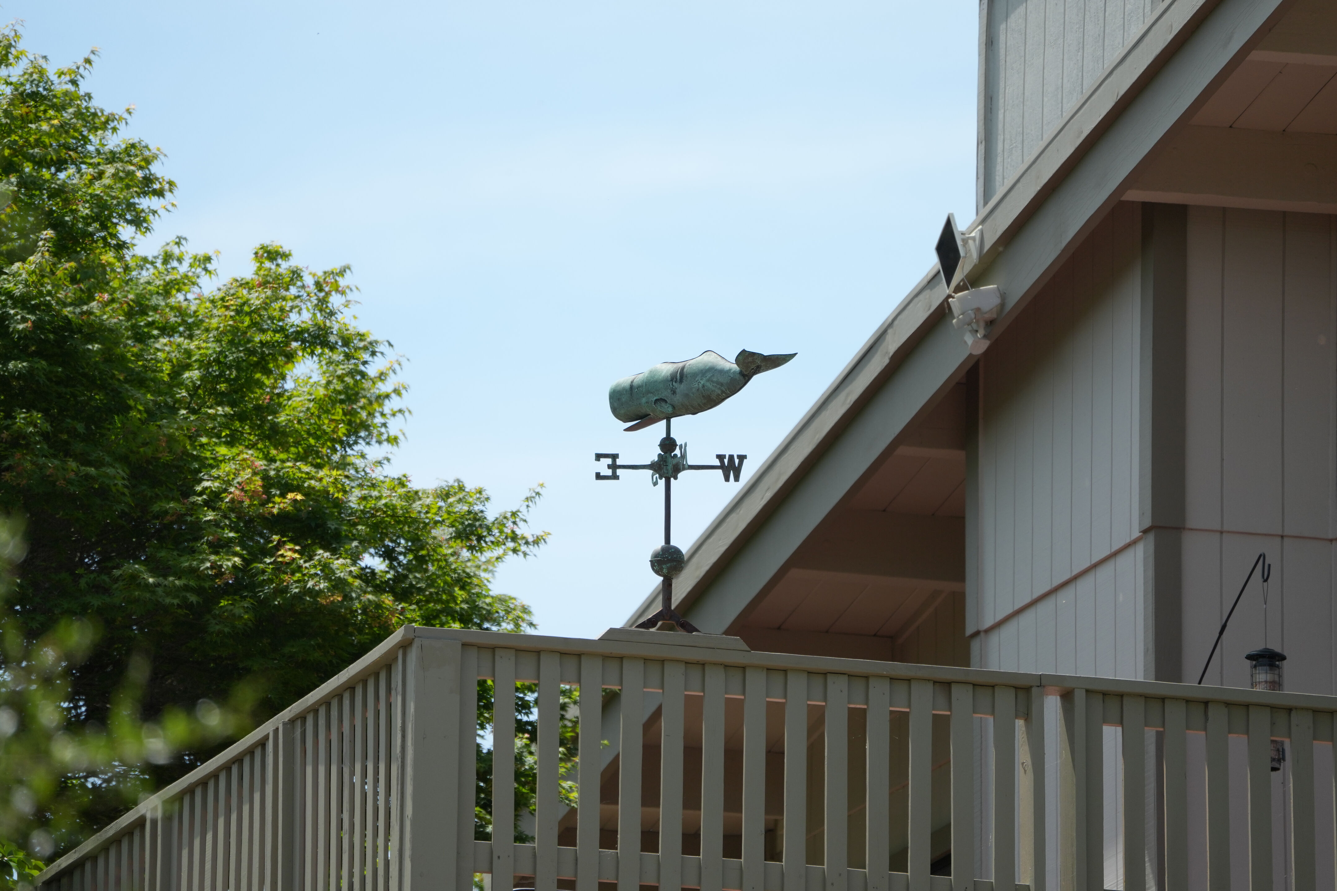 Lake Chabot Regional Park