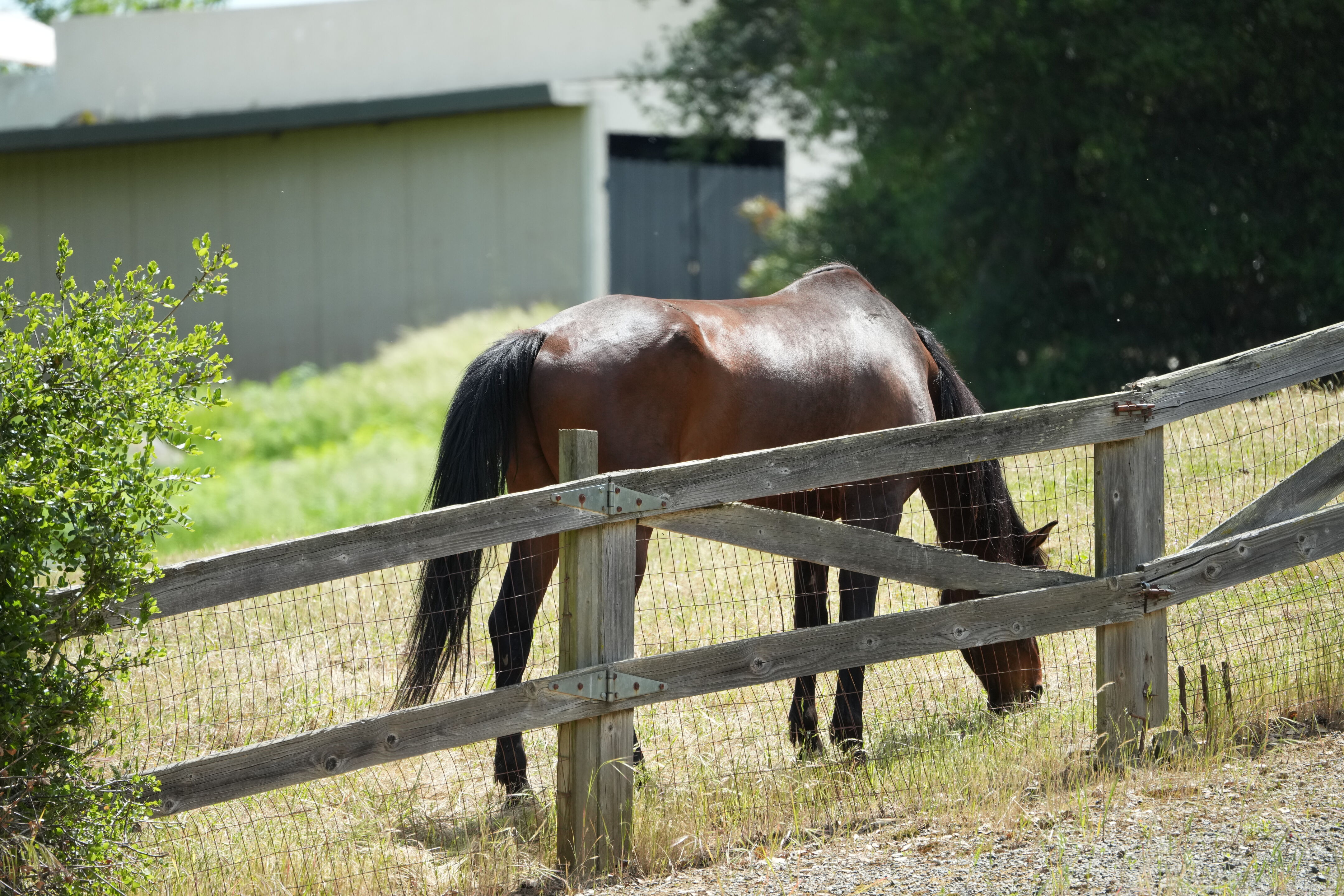 Lake Chabot Regional Park