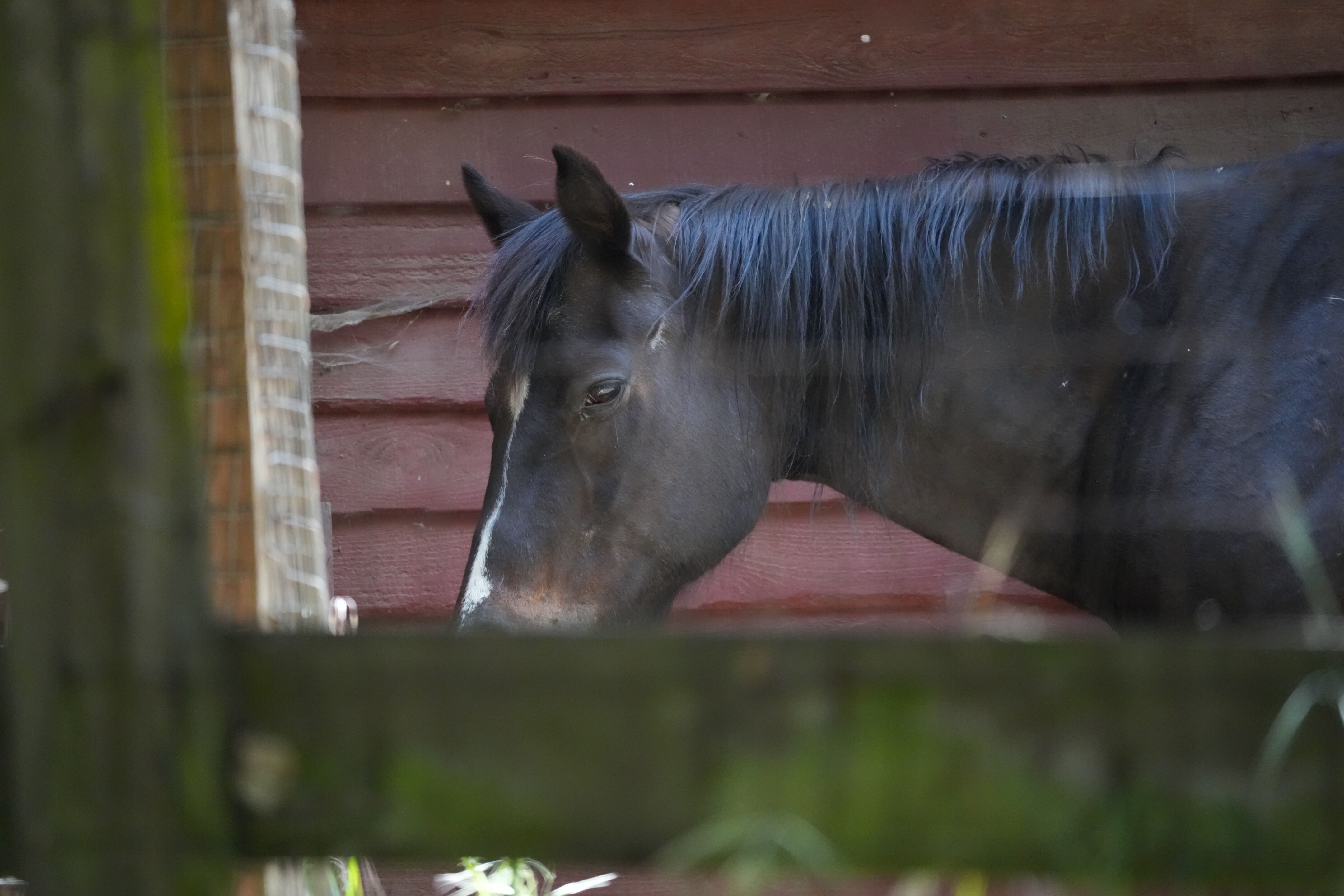 Lake Chabot Regional Park