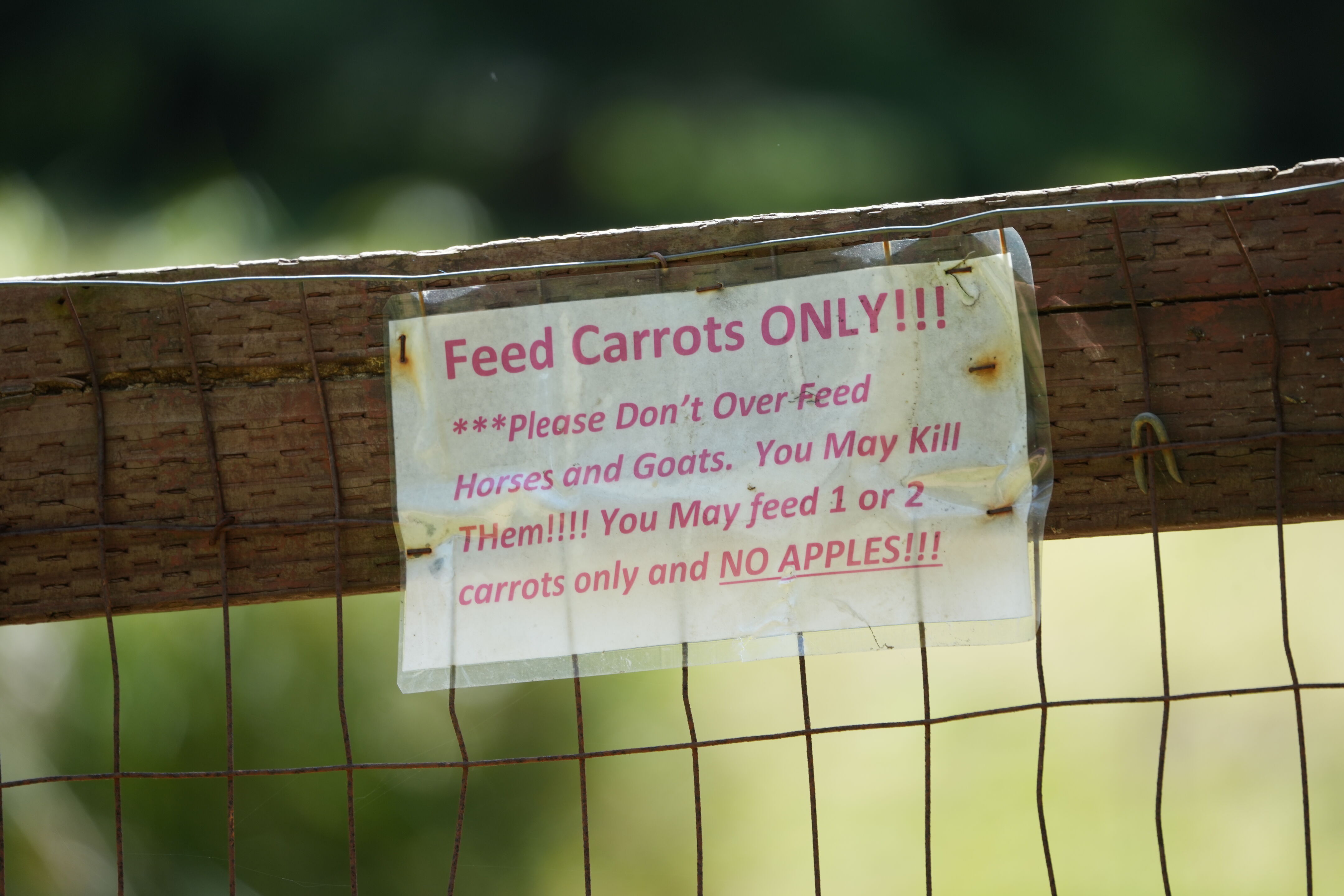 Lake Chabot Regional Park