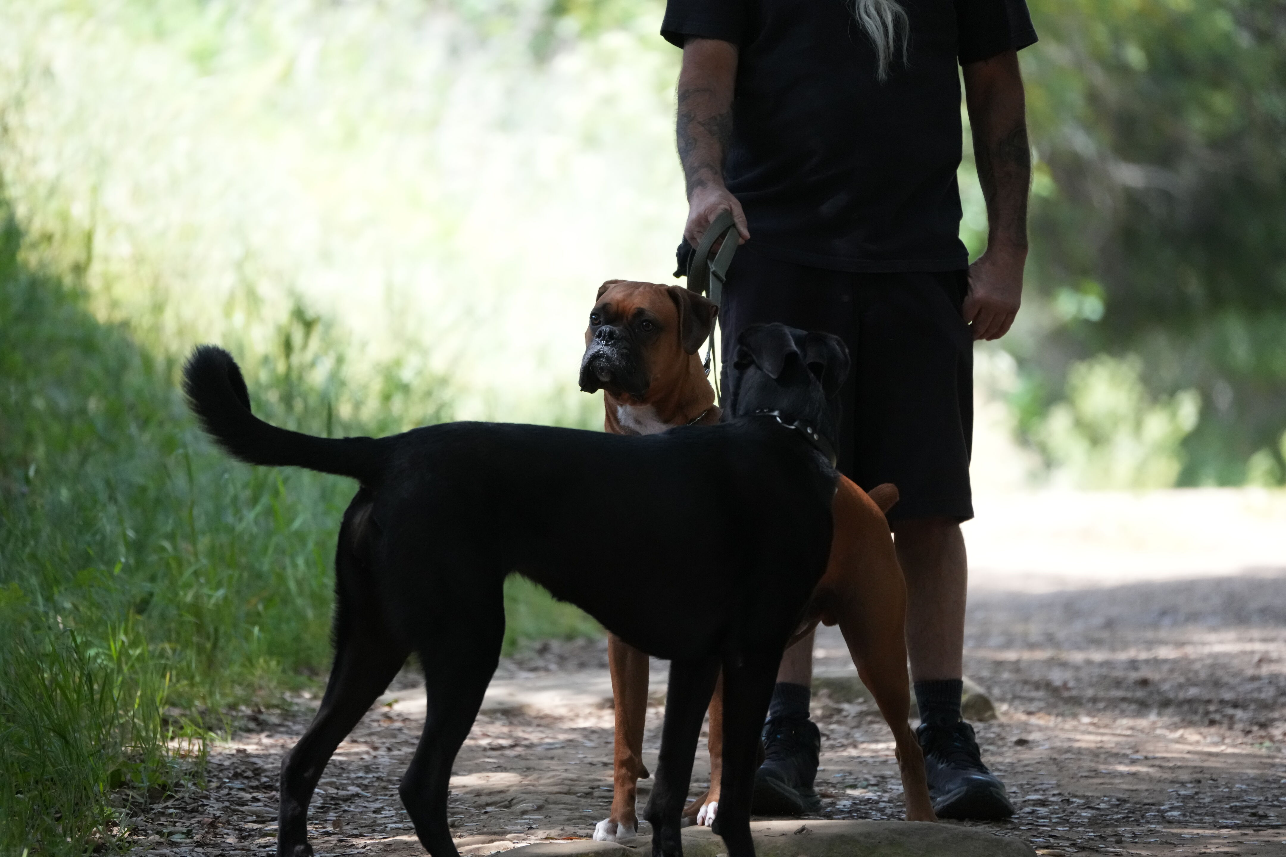 Lake Chabot Regional Park