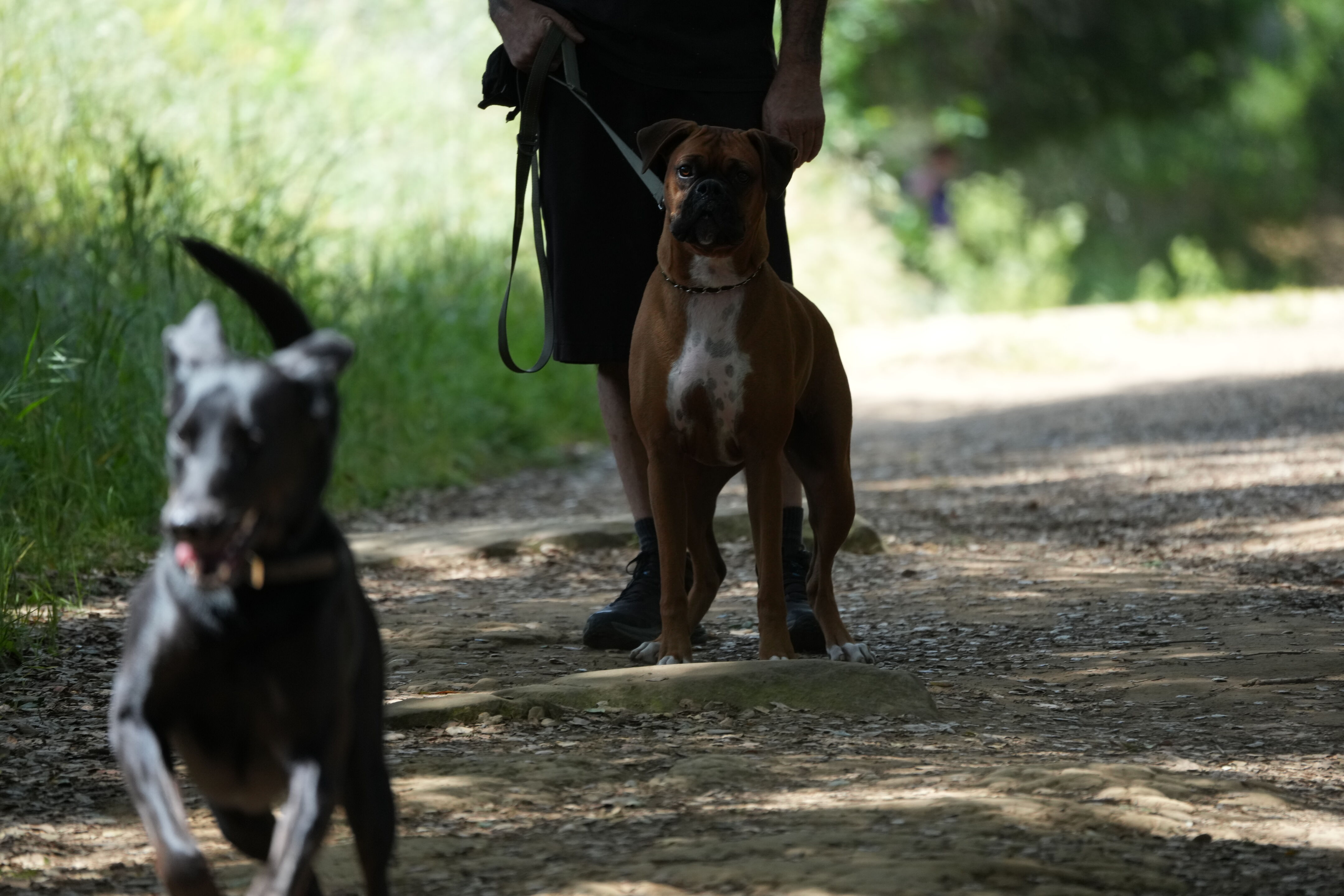 Lake Chabot Regional Park