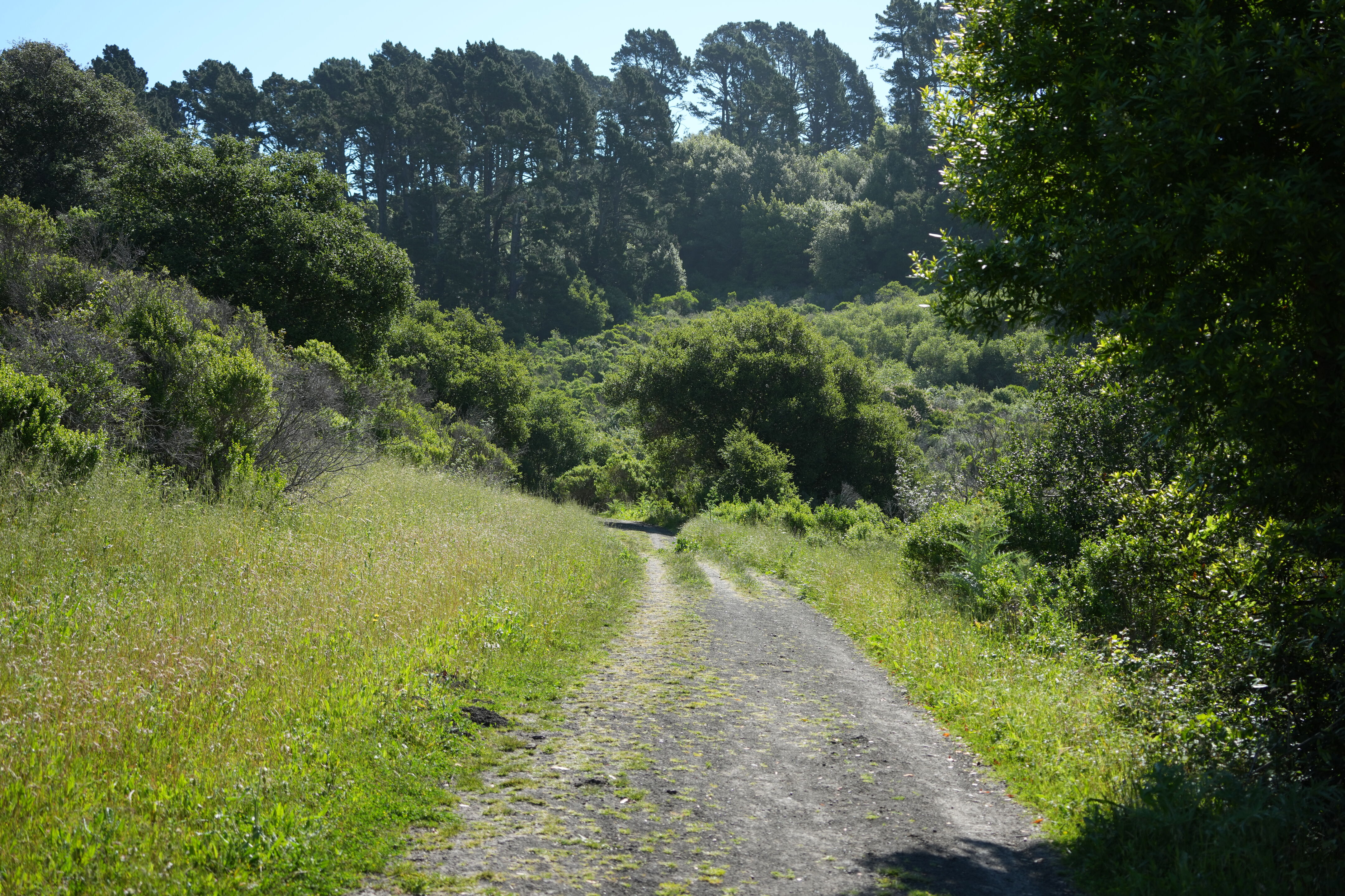 Tilden Regional Park