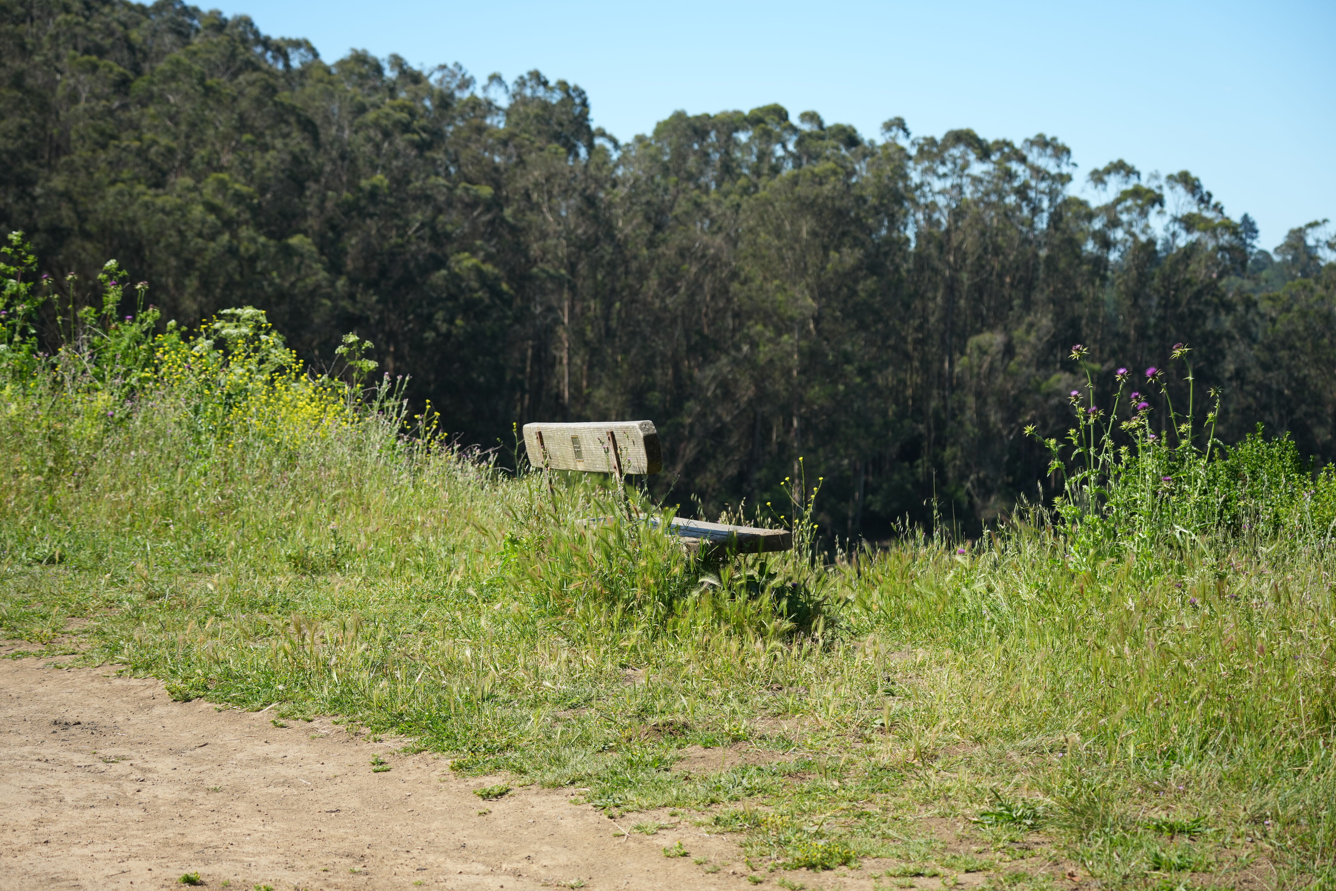 Tilden Regional Park