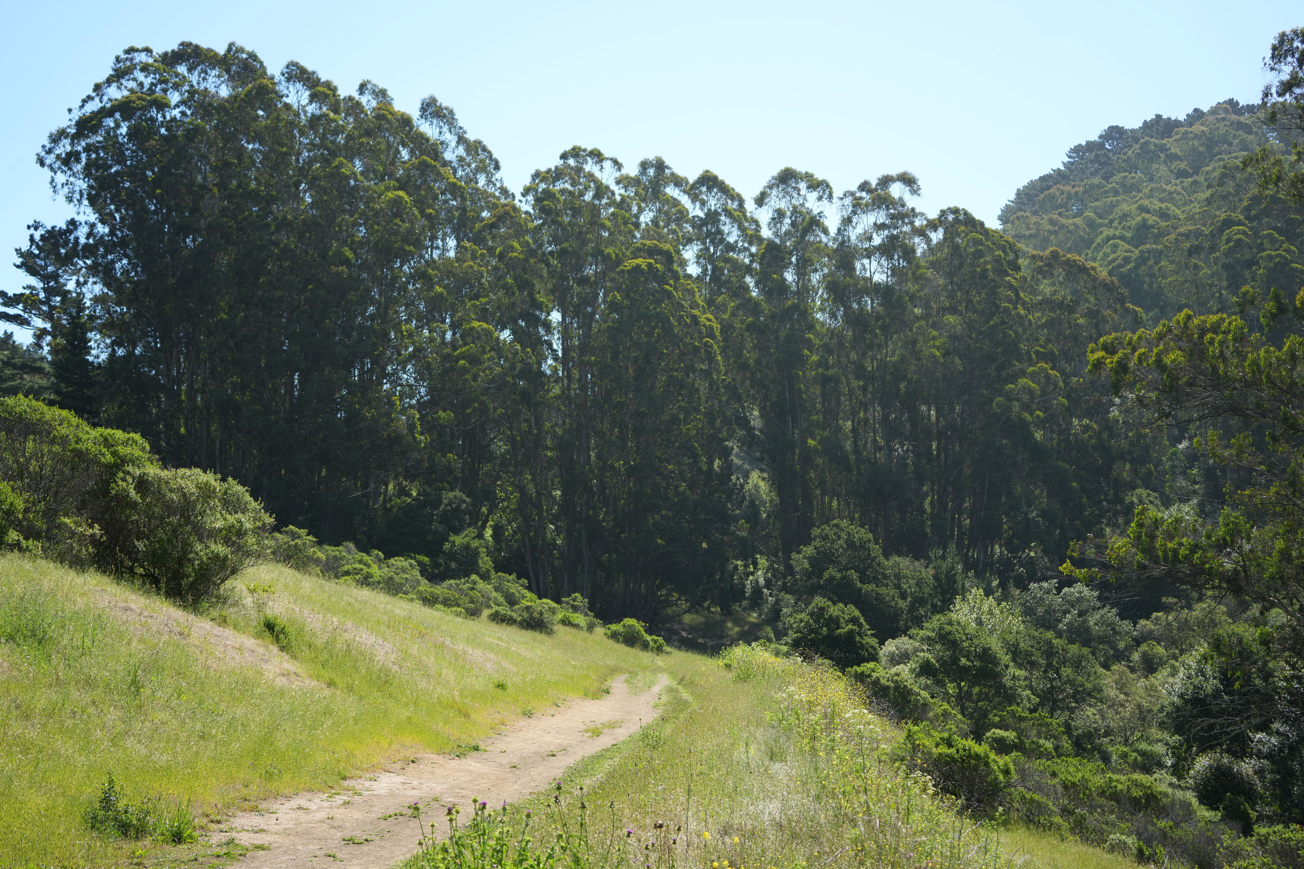 Tilden Regional Park