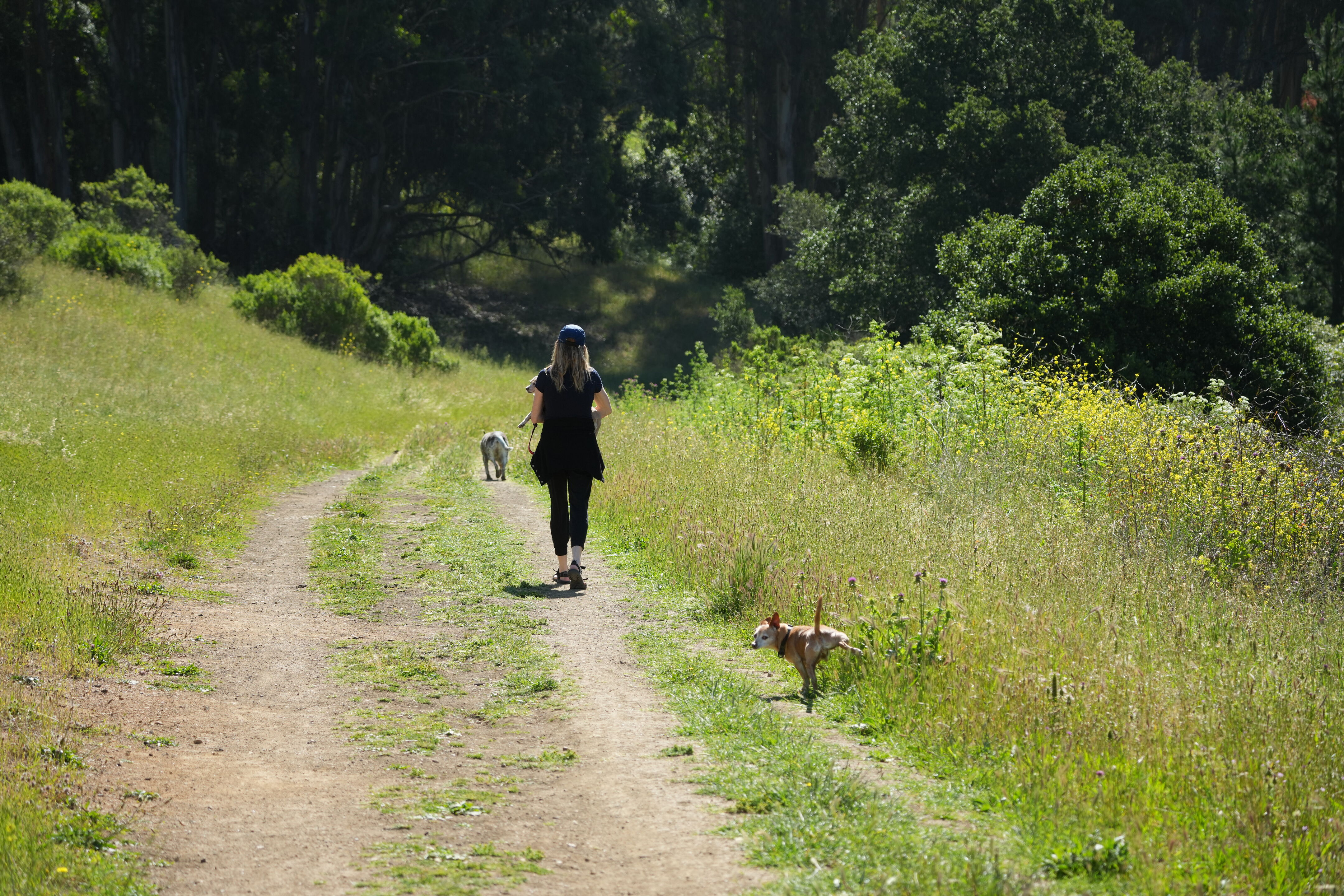 Tilden Regional Park