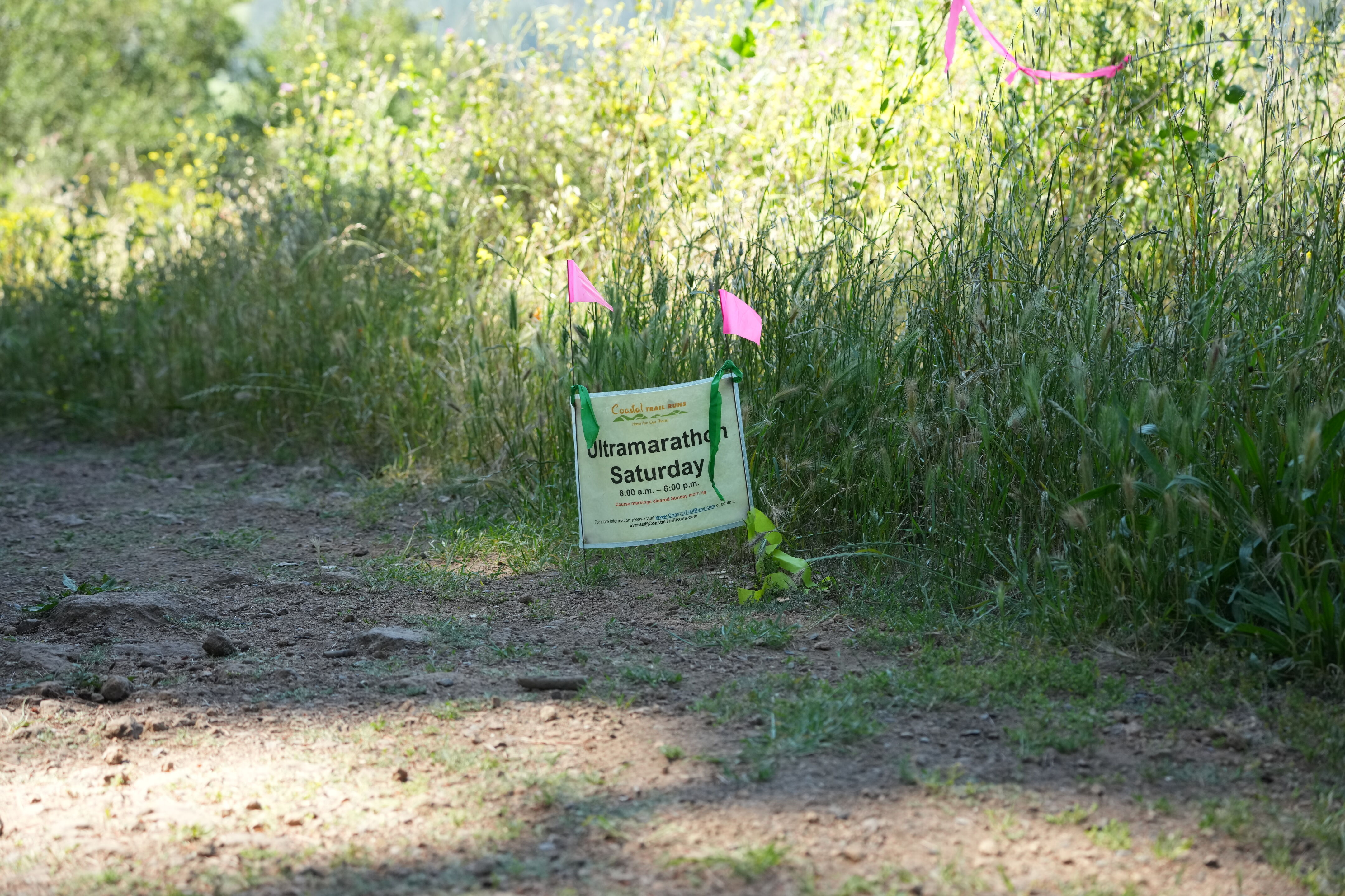Tilden Regional Park