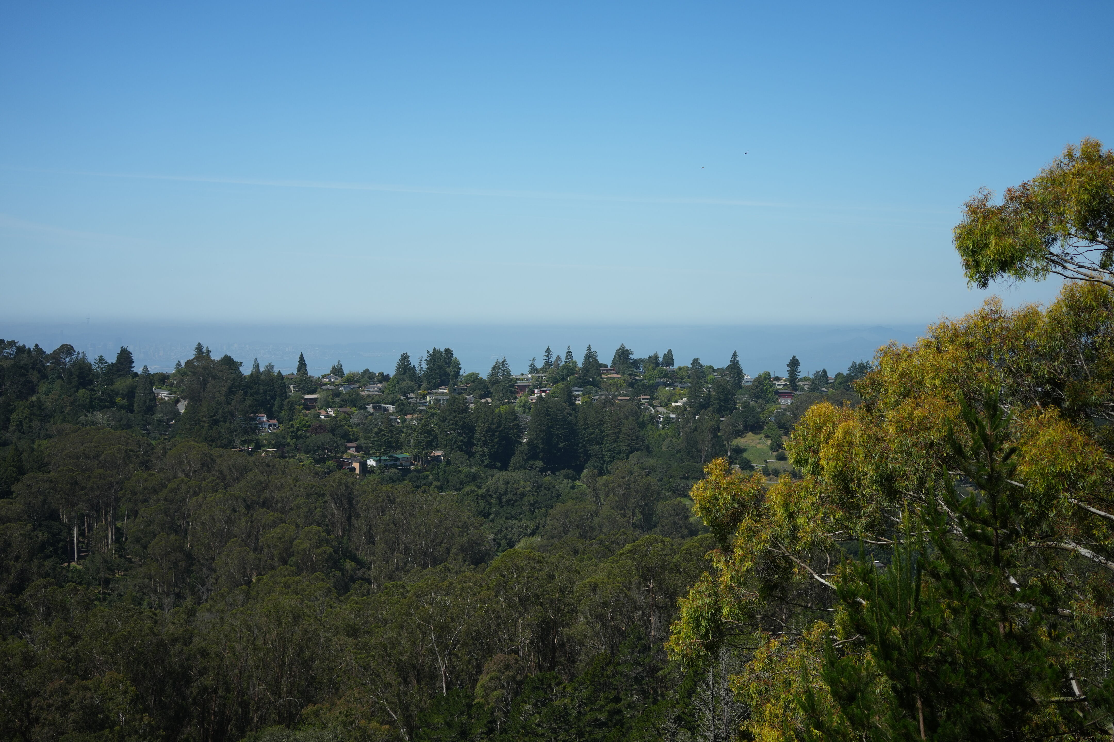 Tilden Regional Park