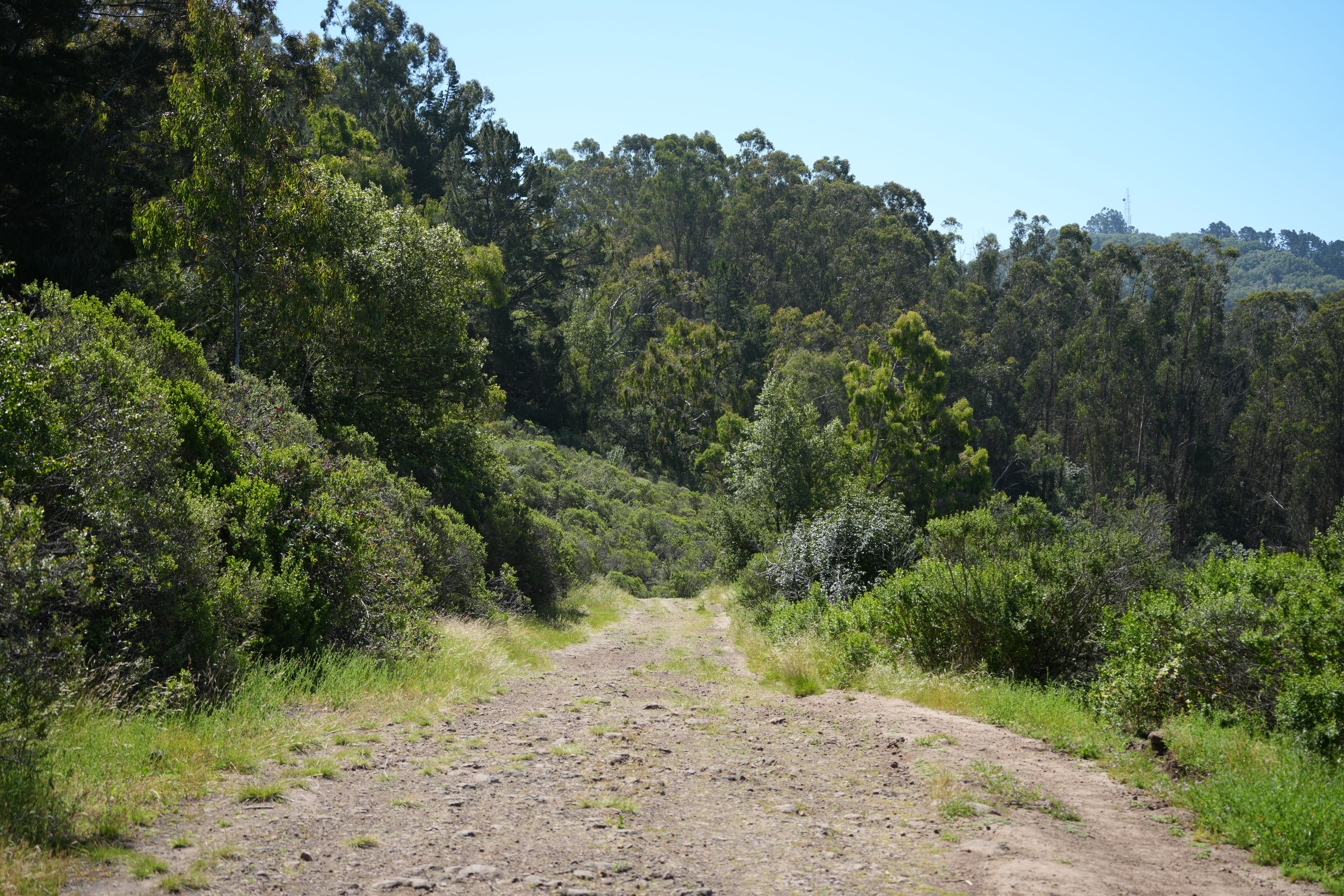 Tilden Regional Park