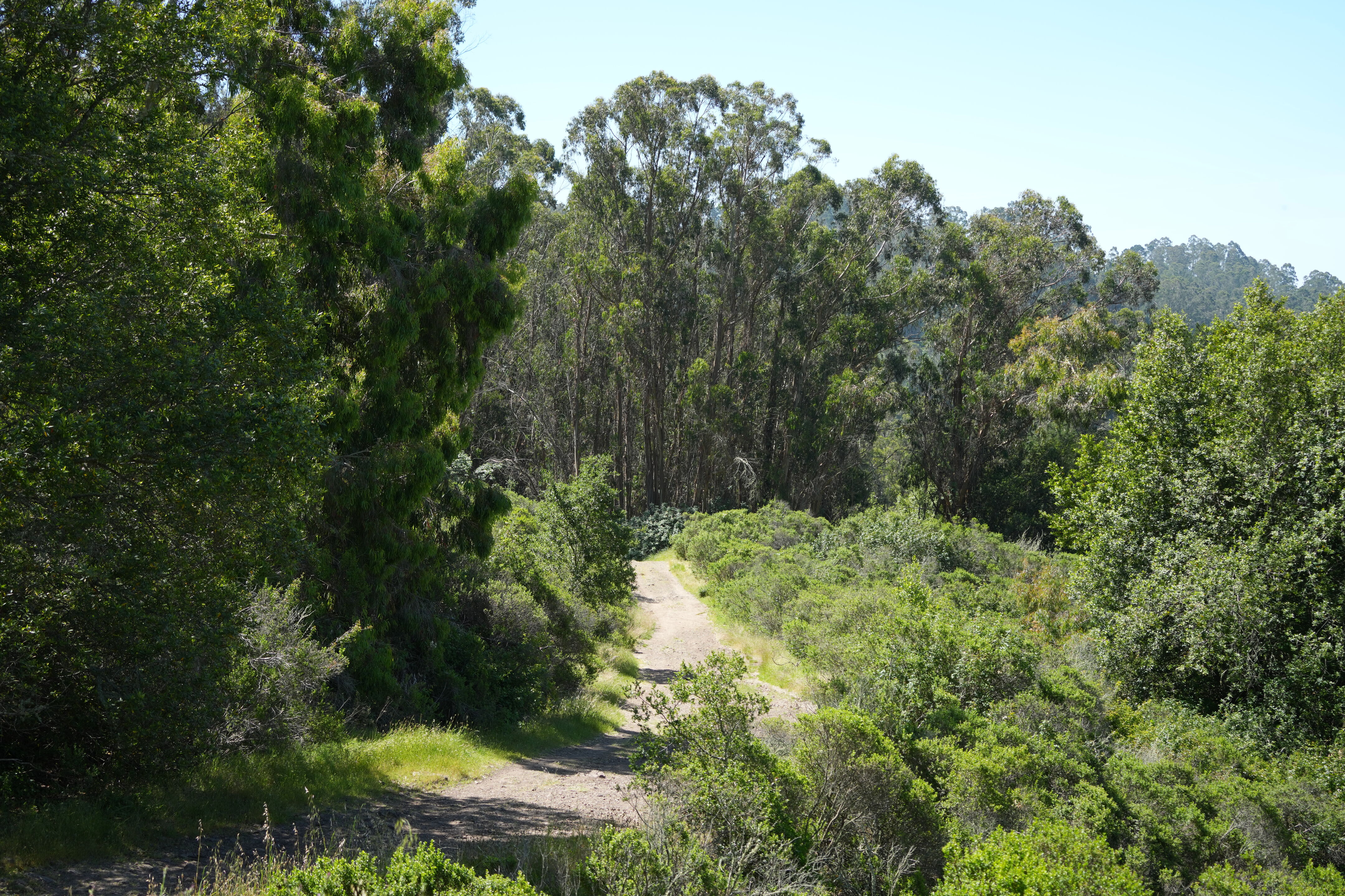 Tilden Regional Park