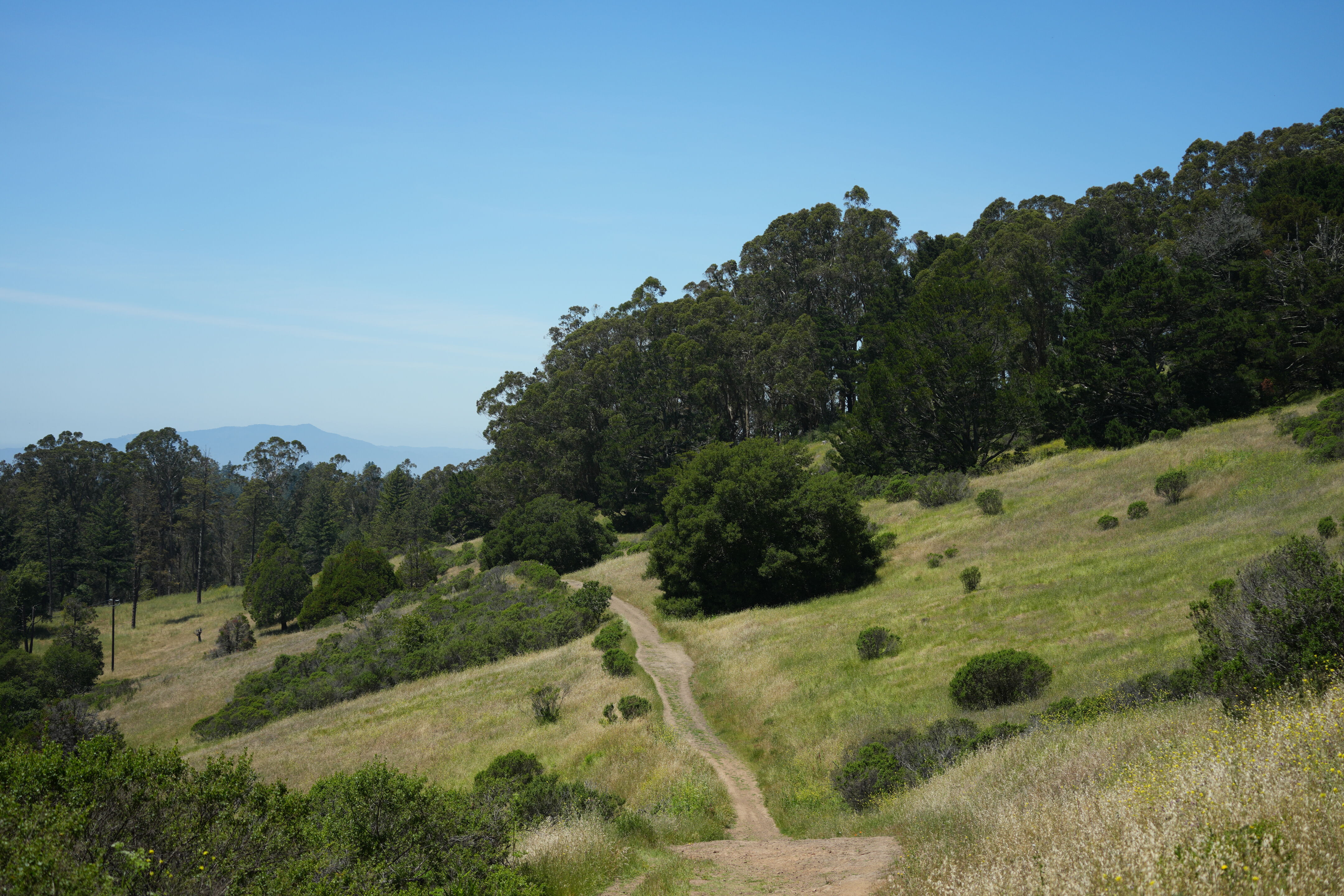Tilden Regional Park