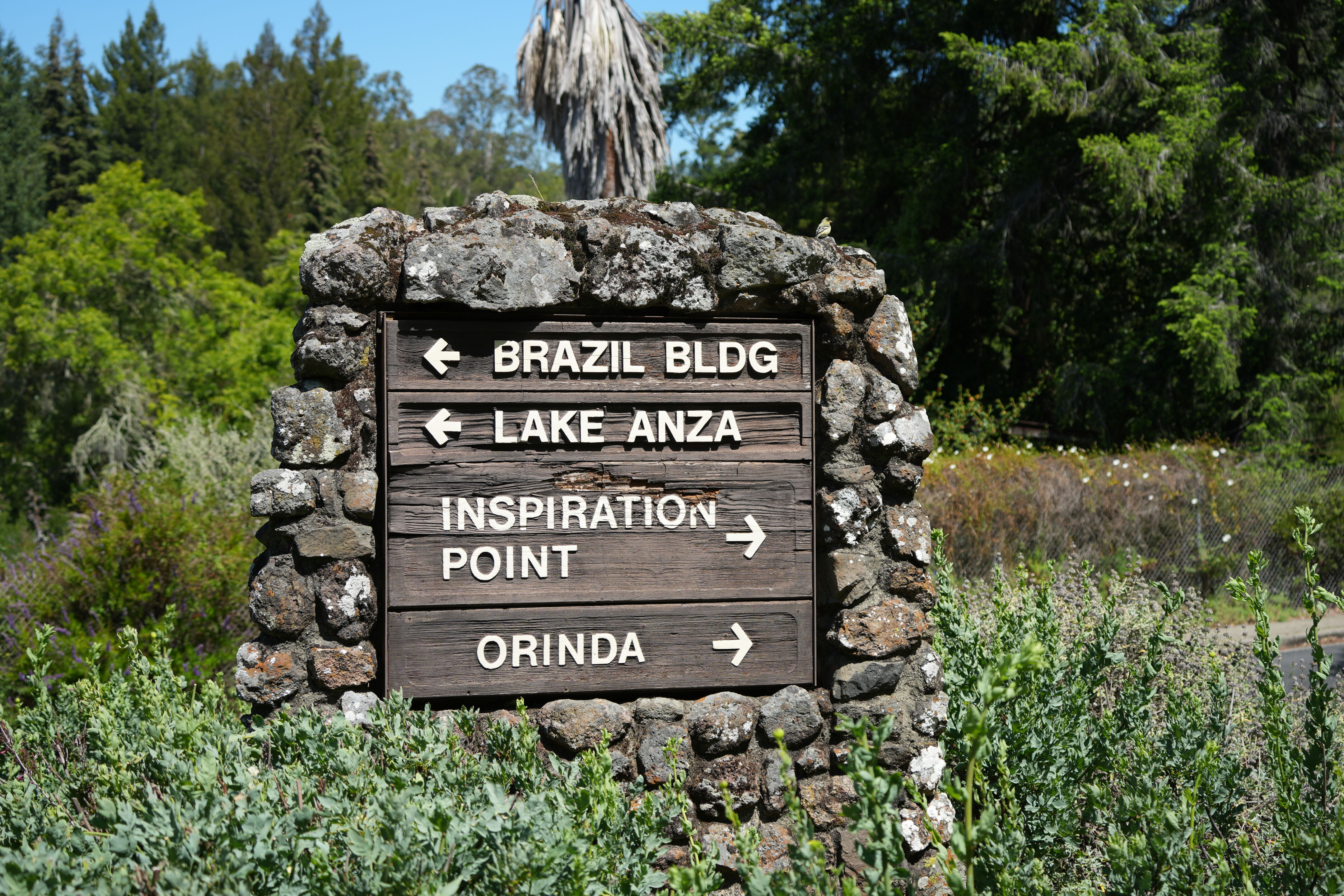 Tilden Regional Parks Botanic Garden