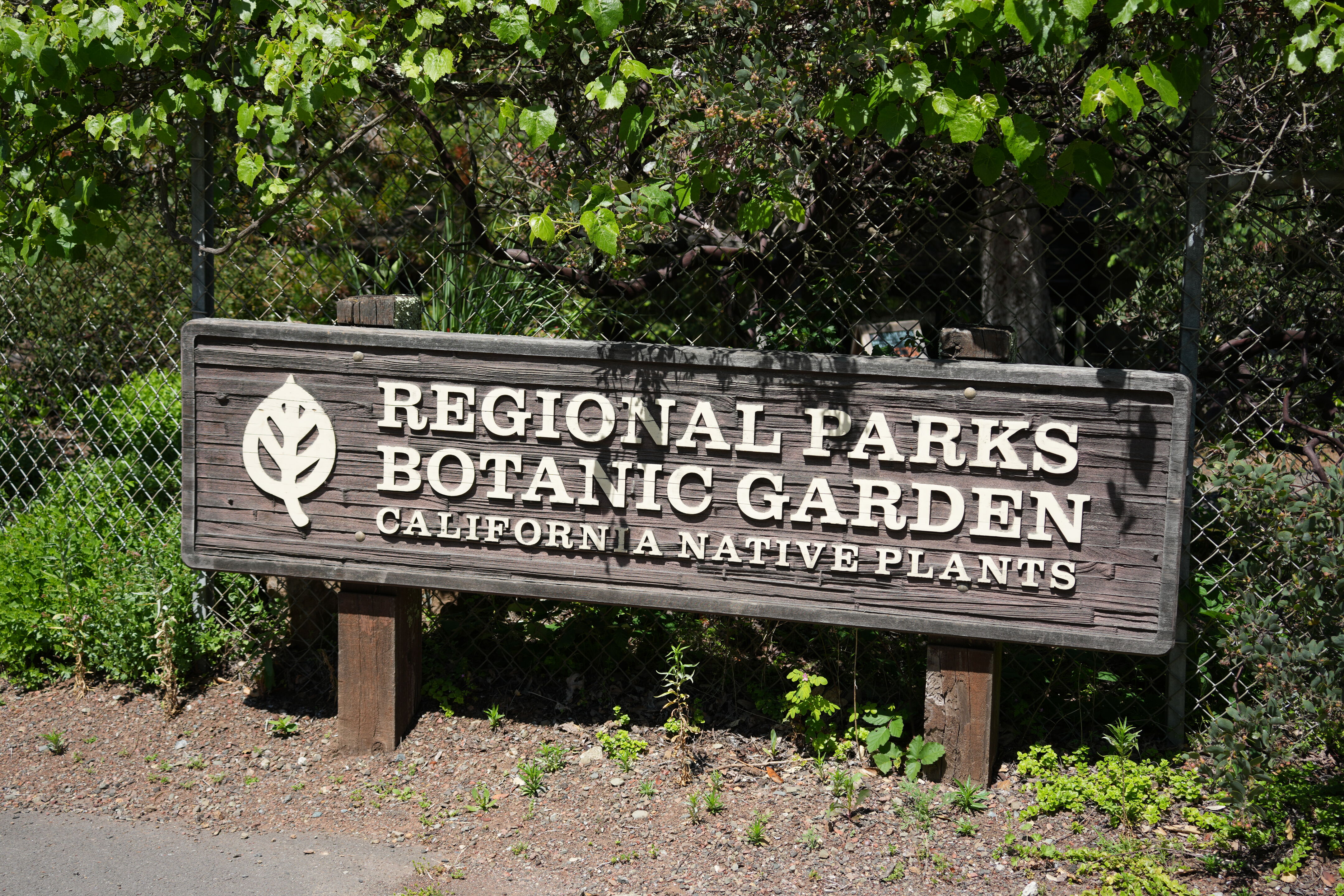 Tilden Regional Parks Botanic Garden