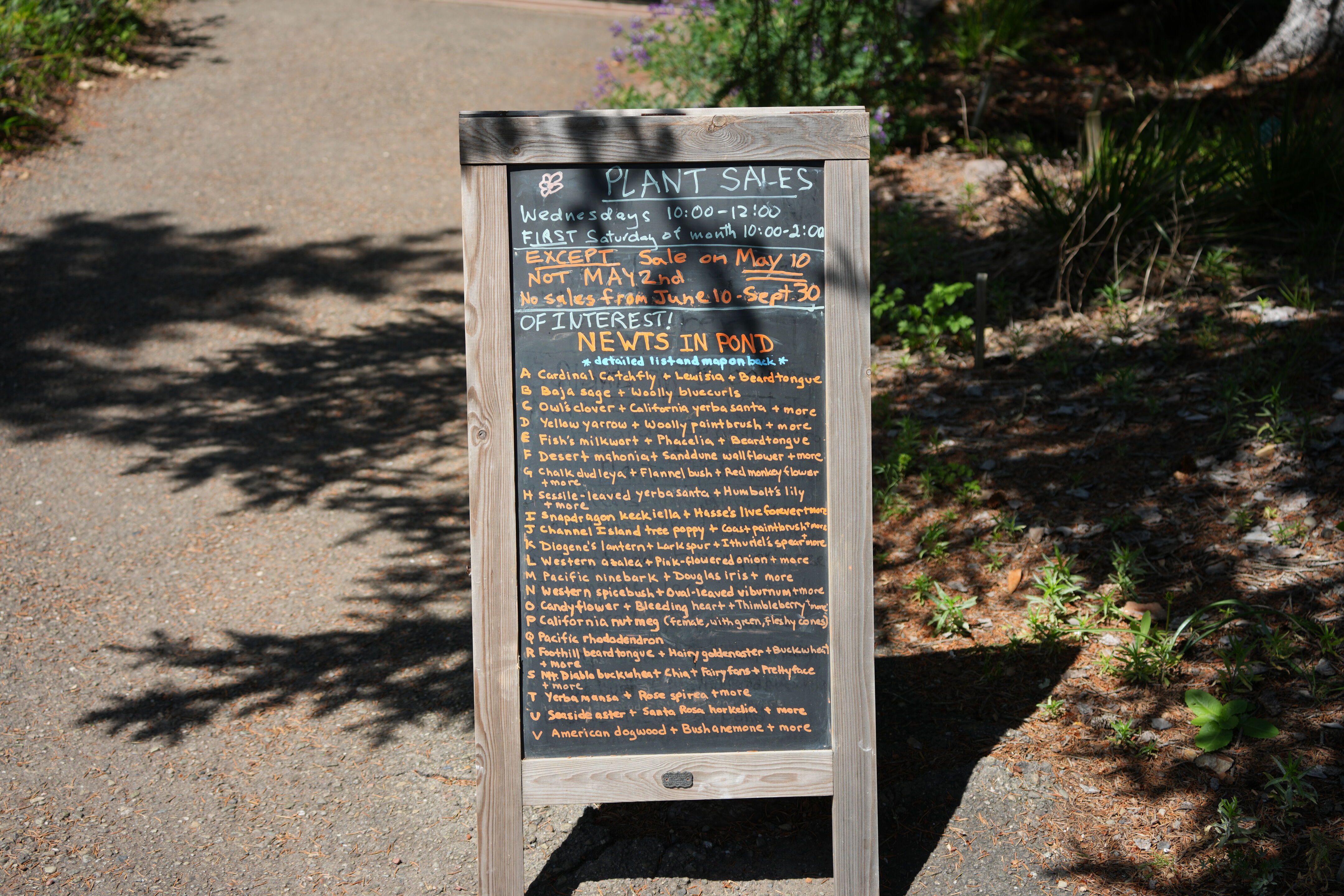Tilden Regional Parks Botanic Garden