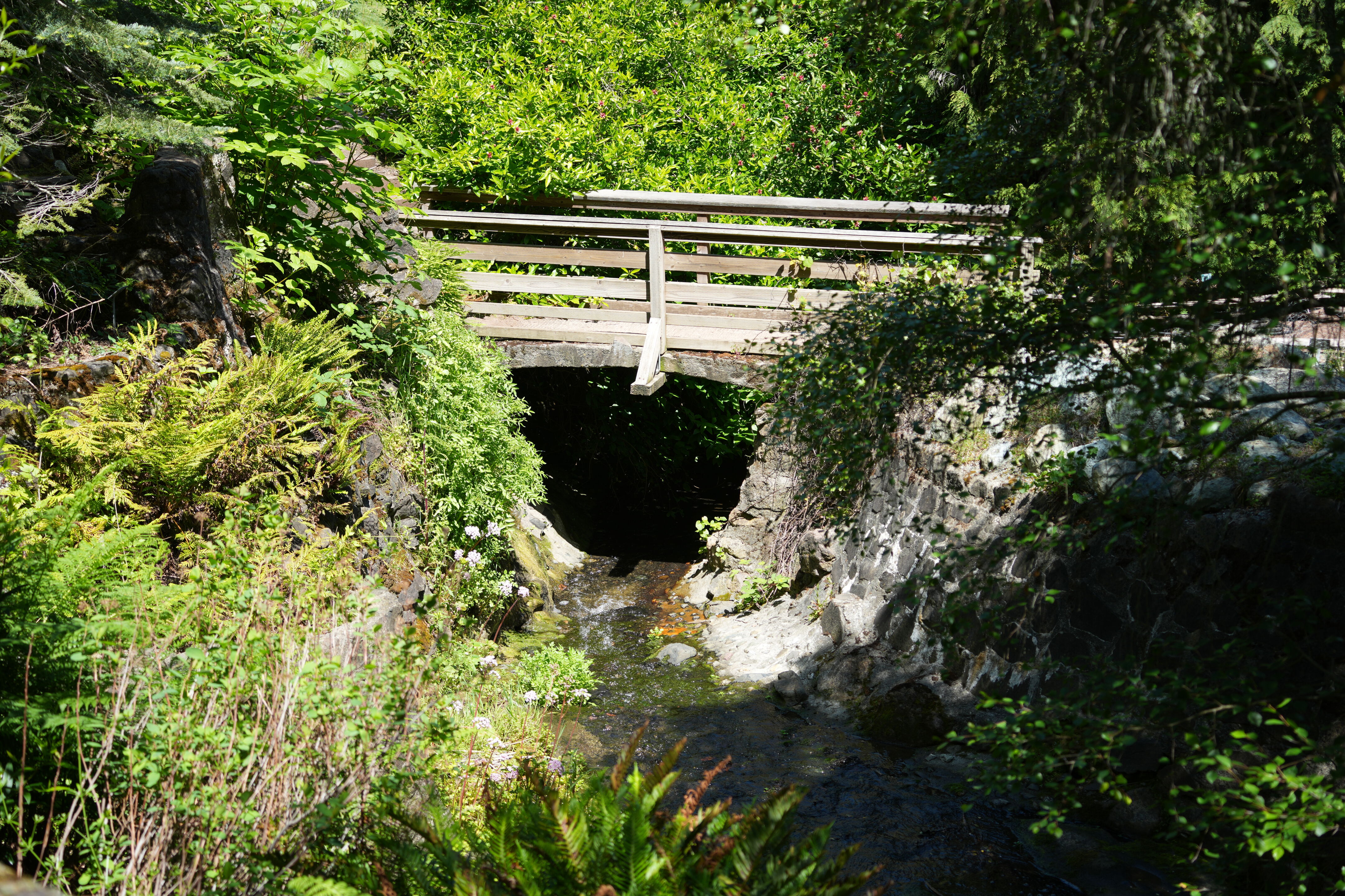 Tilden Regional Parks Botanic Garden