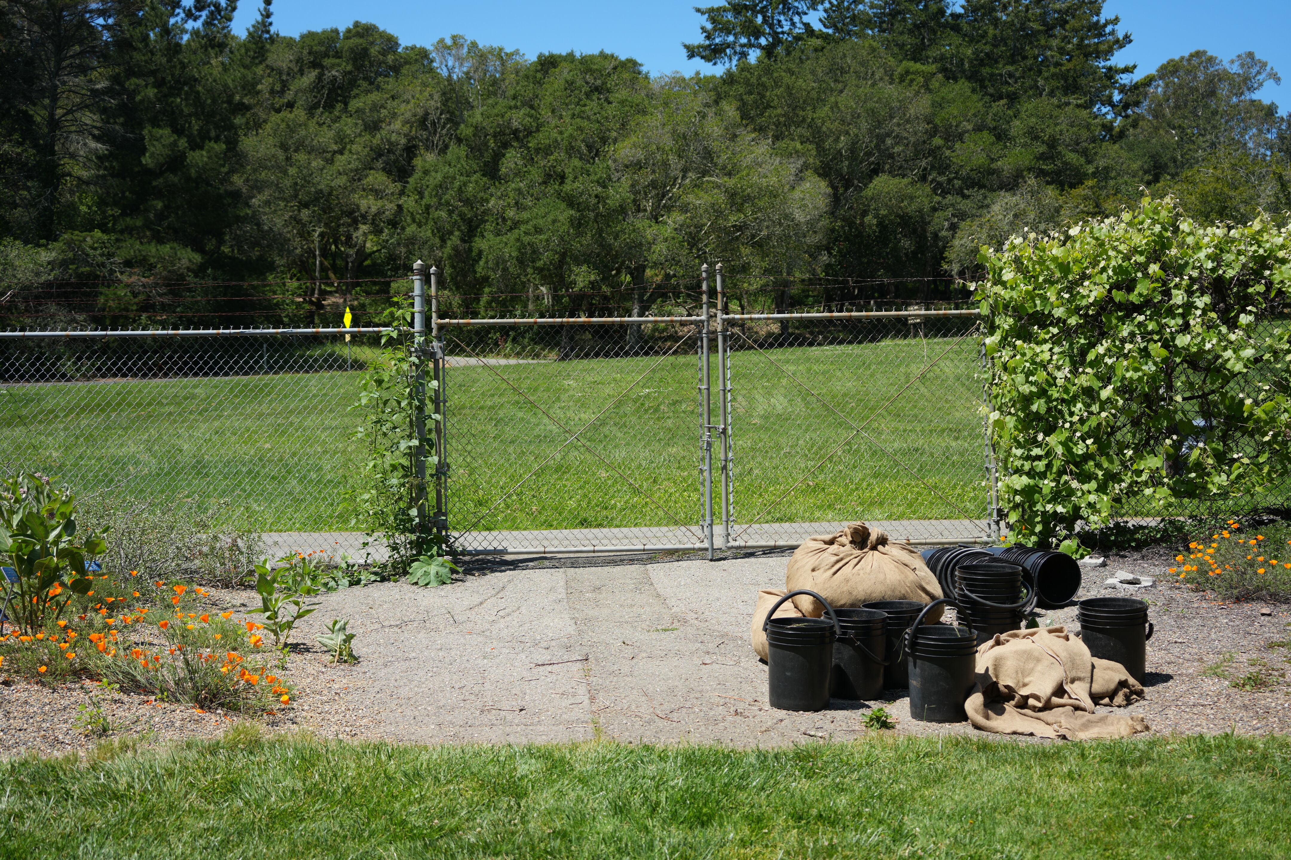 Tilden Regional Parks Botanic Garden