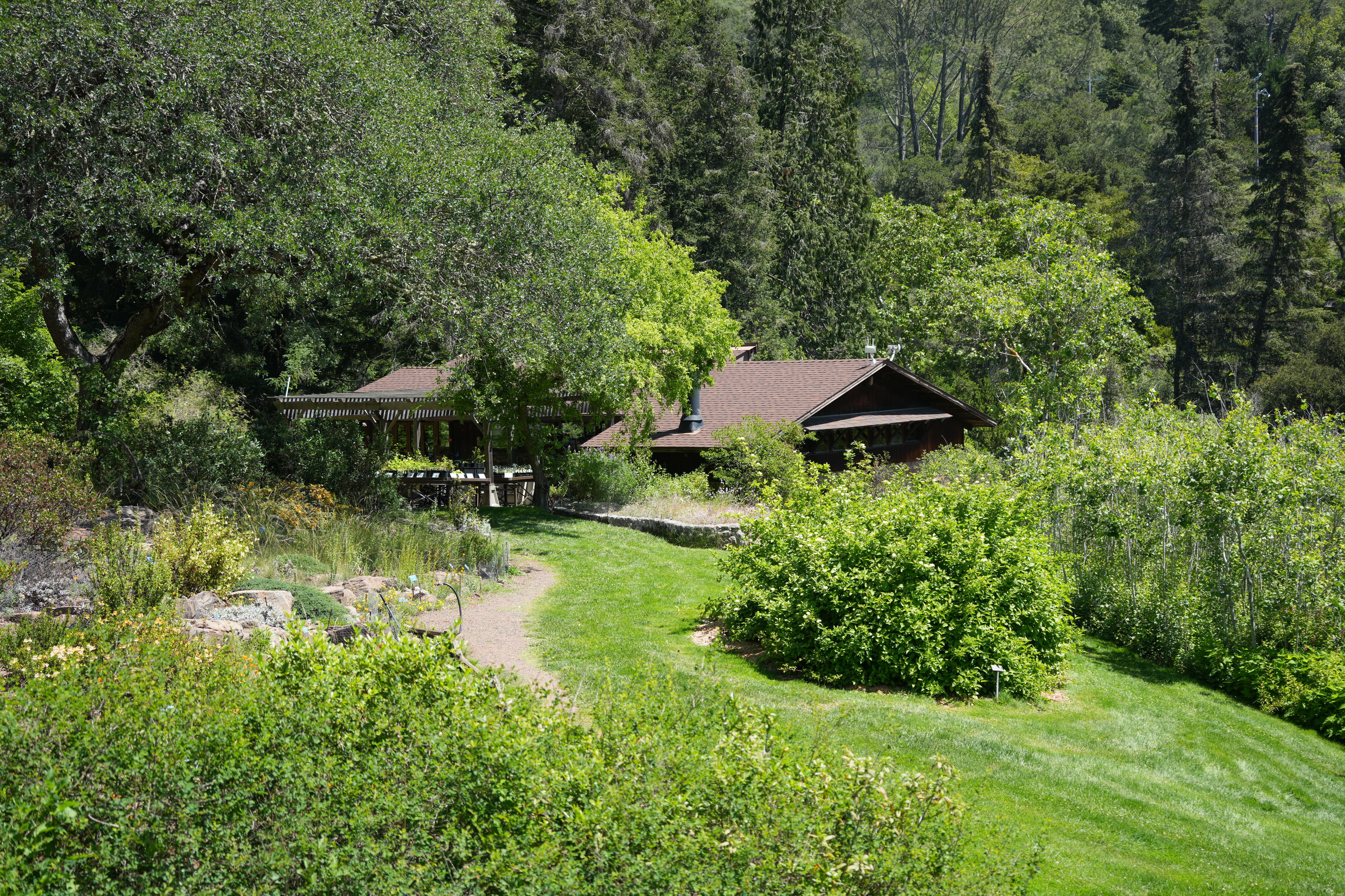 Tilden Regional Parks Botanic Garden