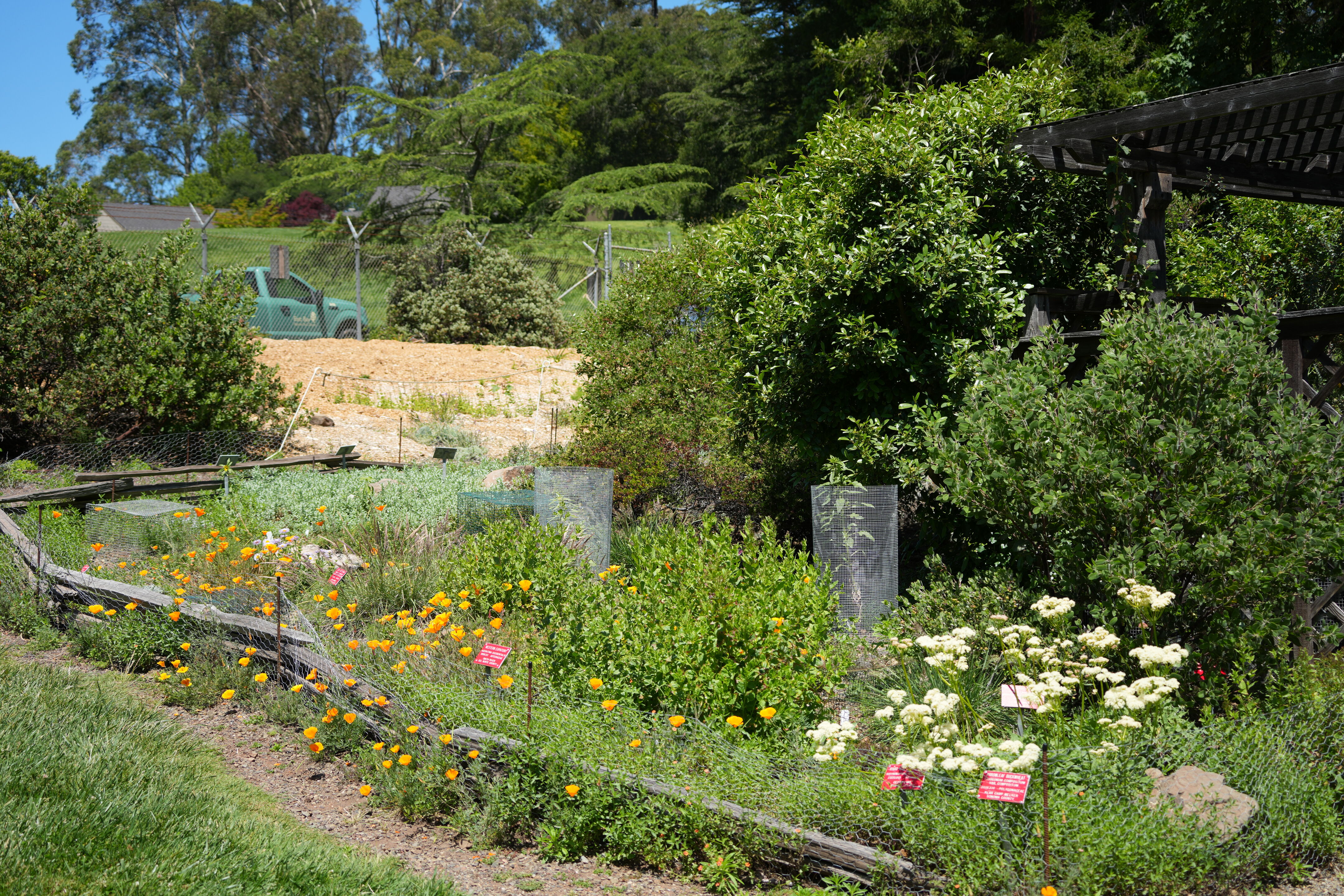 Tilden Regional Parks Botanic Garden