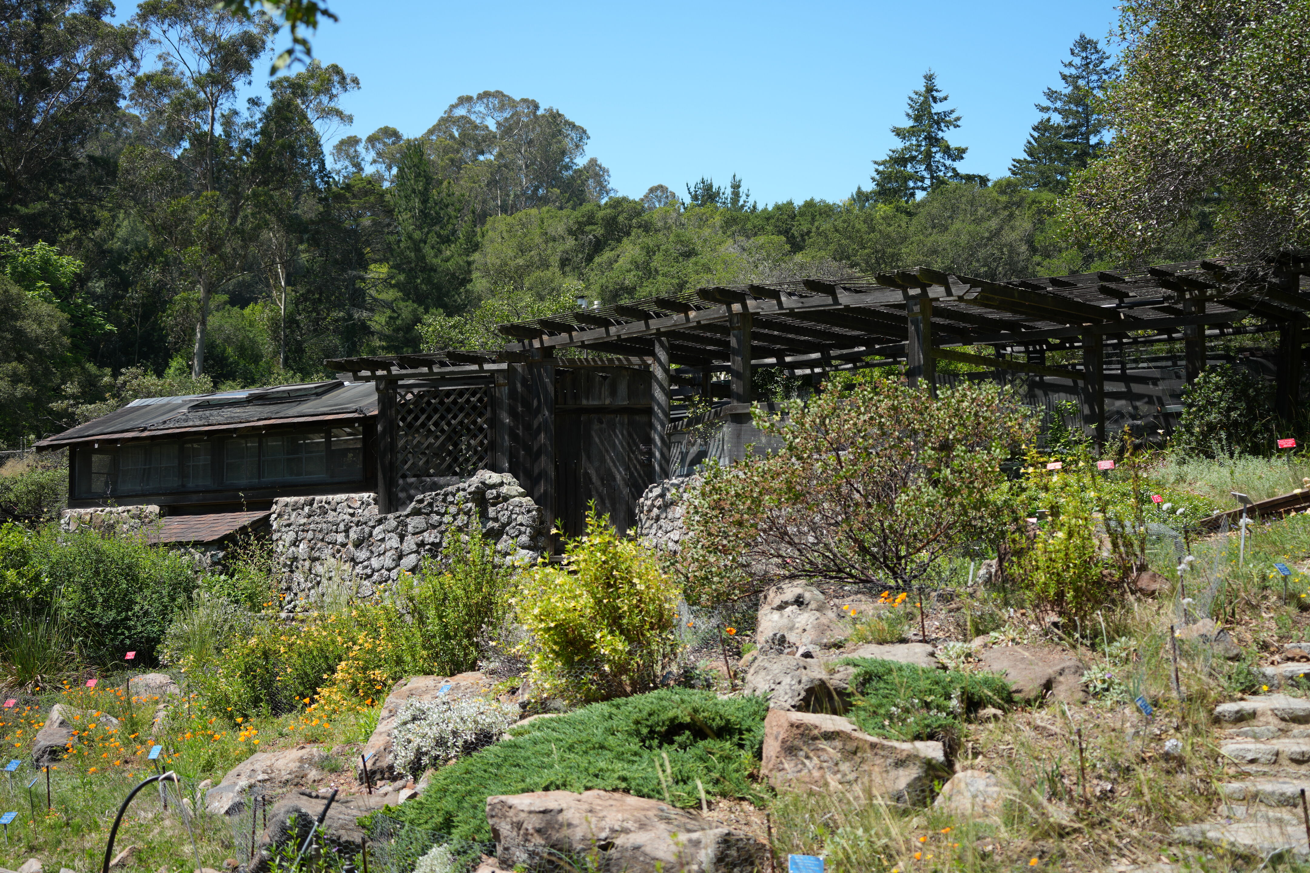 Tilden Regional Parks Botanic Garden