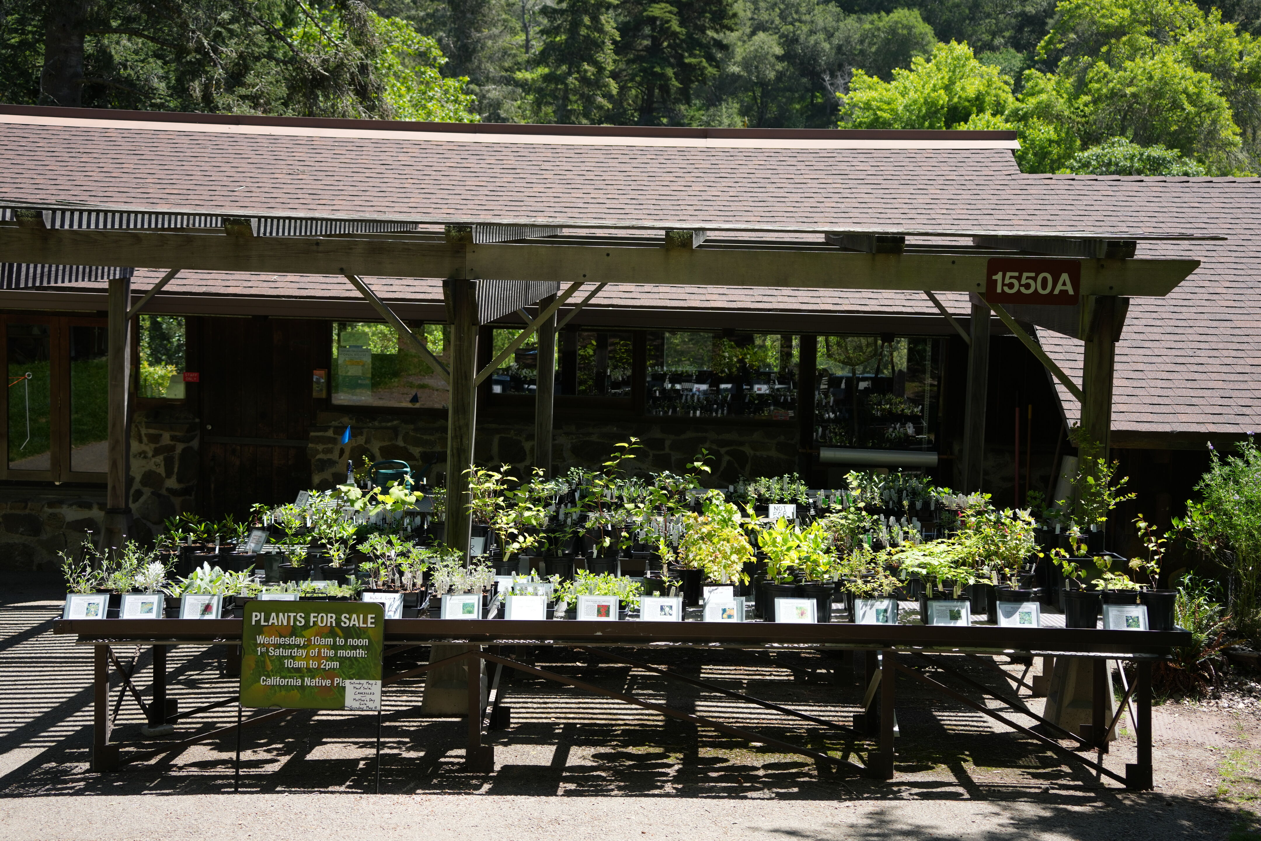 Tilden Regional Parks Botanic Garden