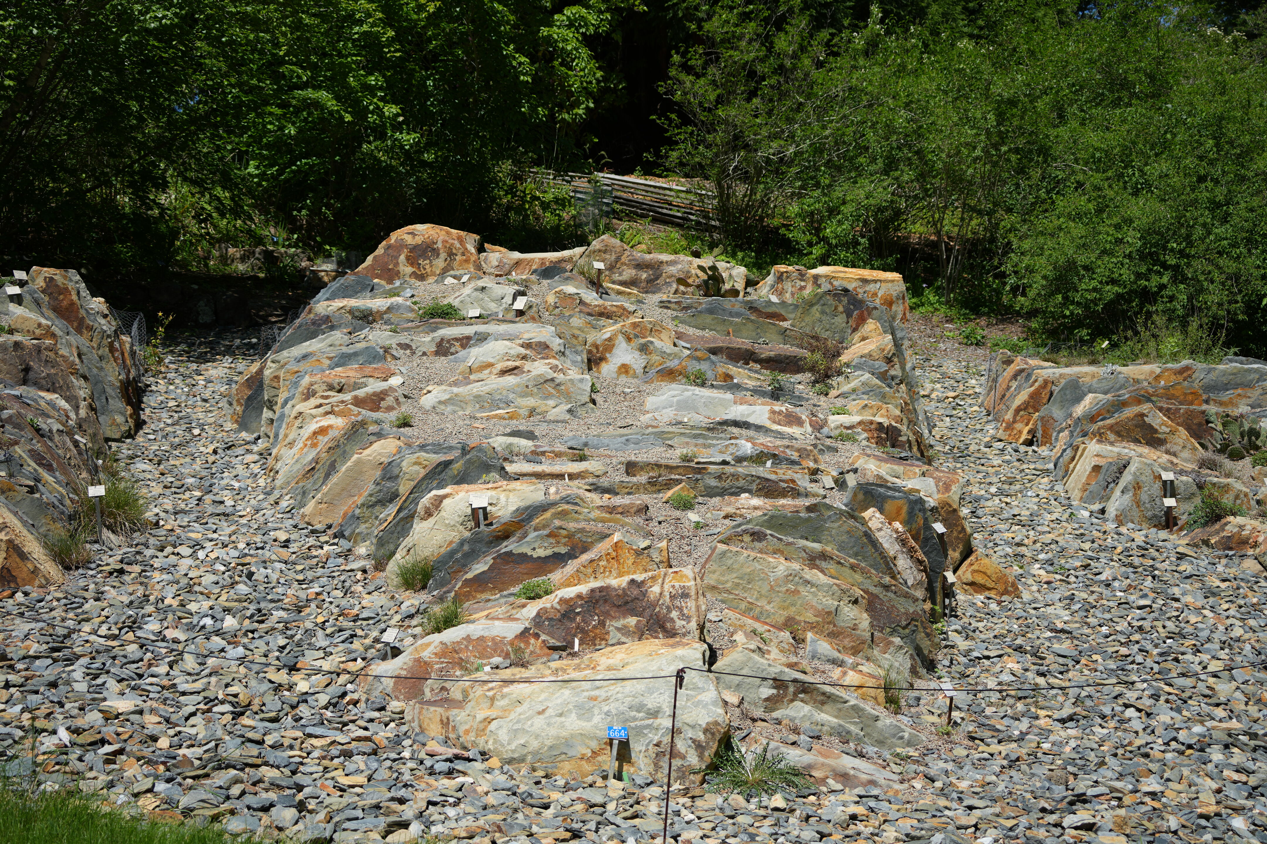 Tilden Regional Parks Botanic Garden
