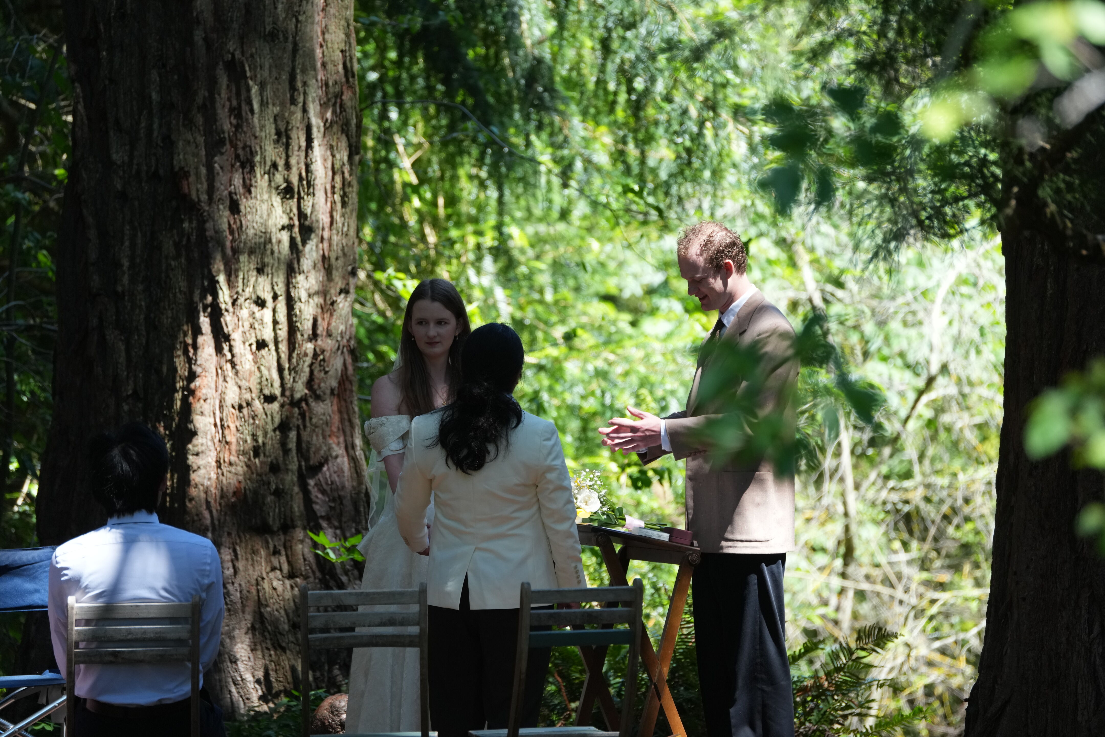 Tilden Regional Parks Botanic Garden