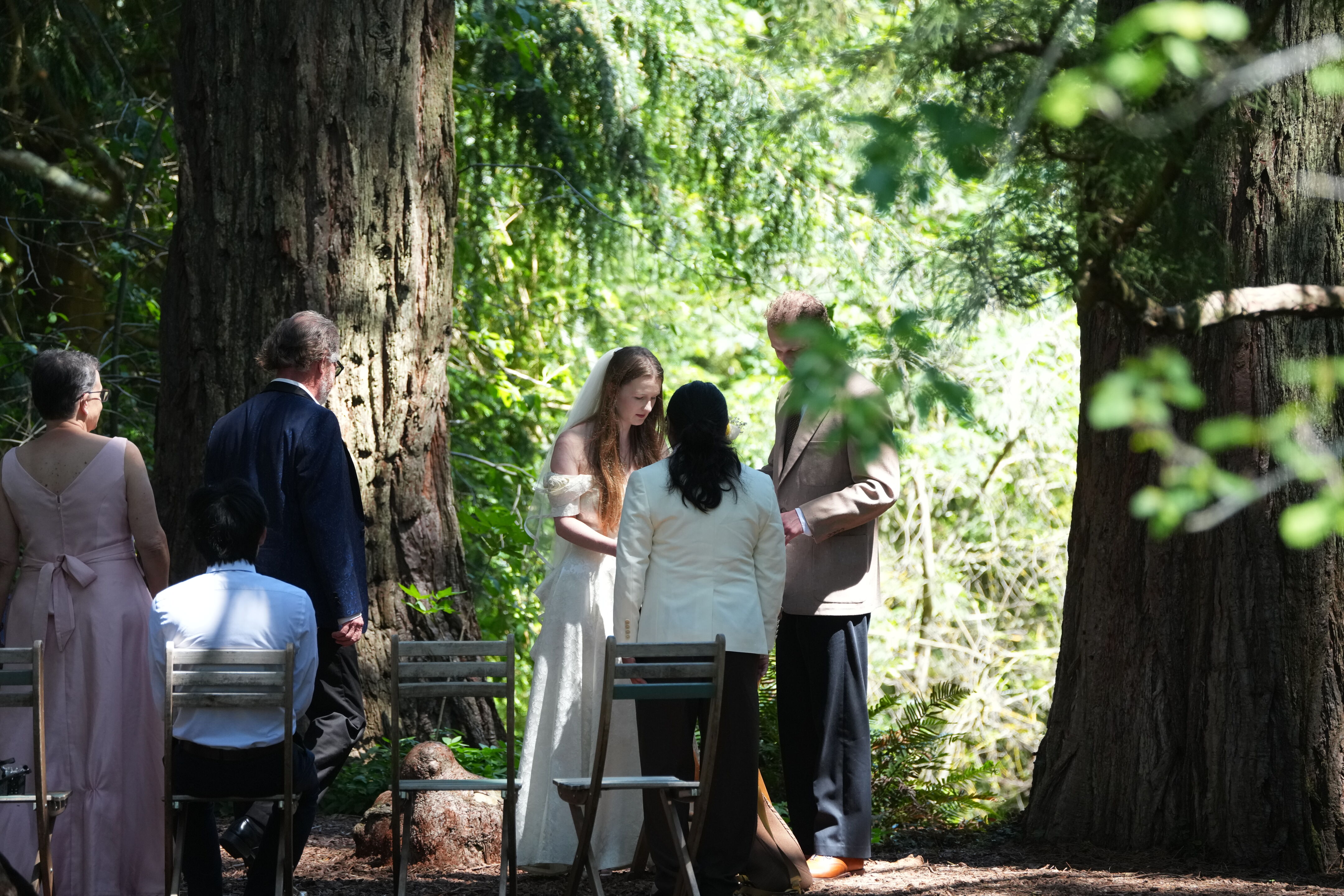 Tilden Regional Parks Botanic Garden