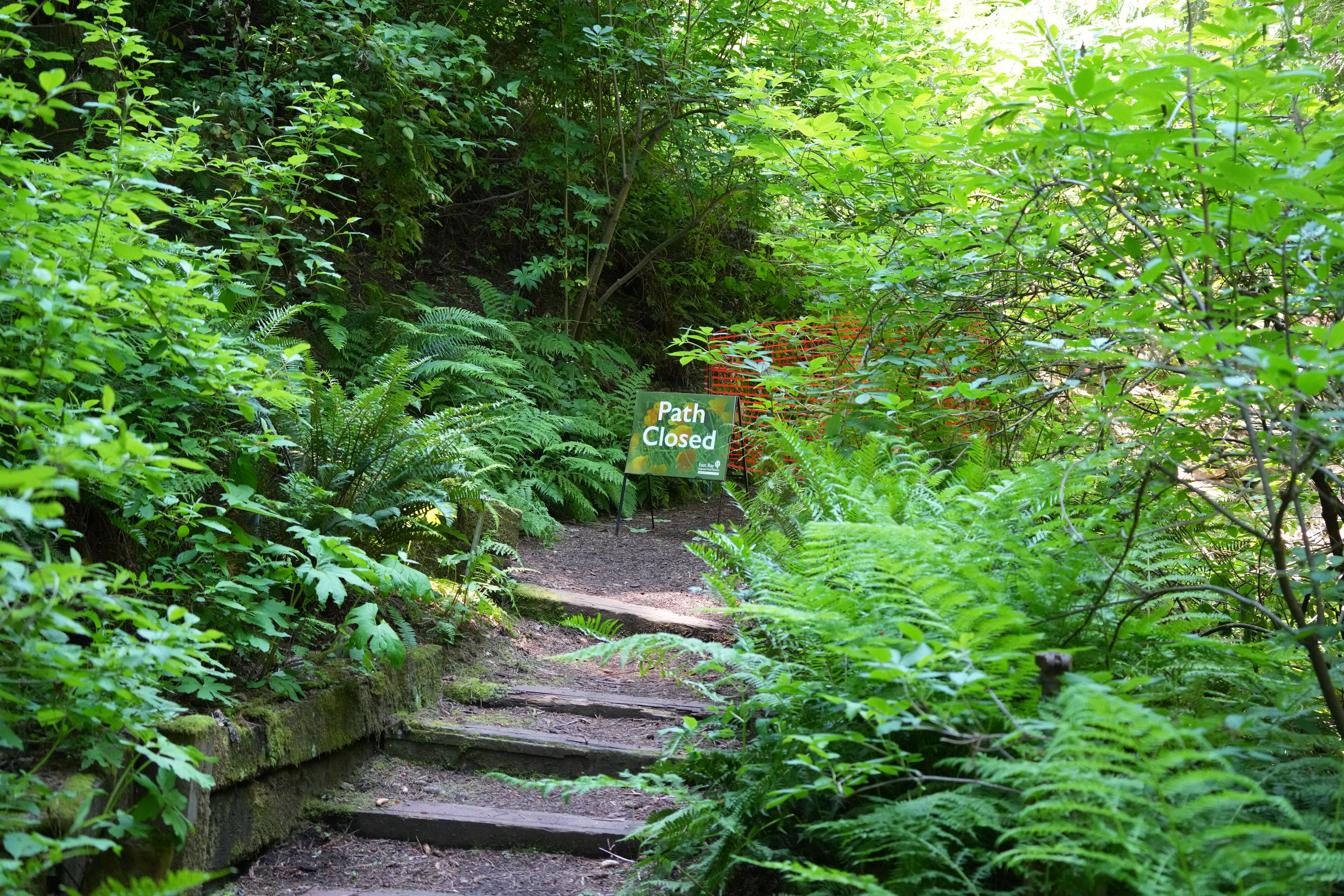 Tilden Regional Parks Botanic Garden