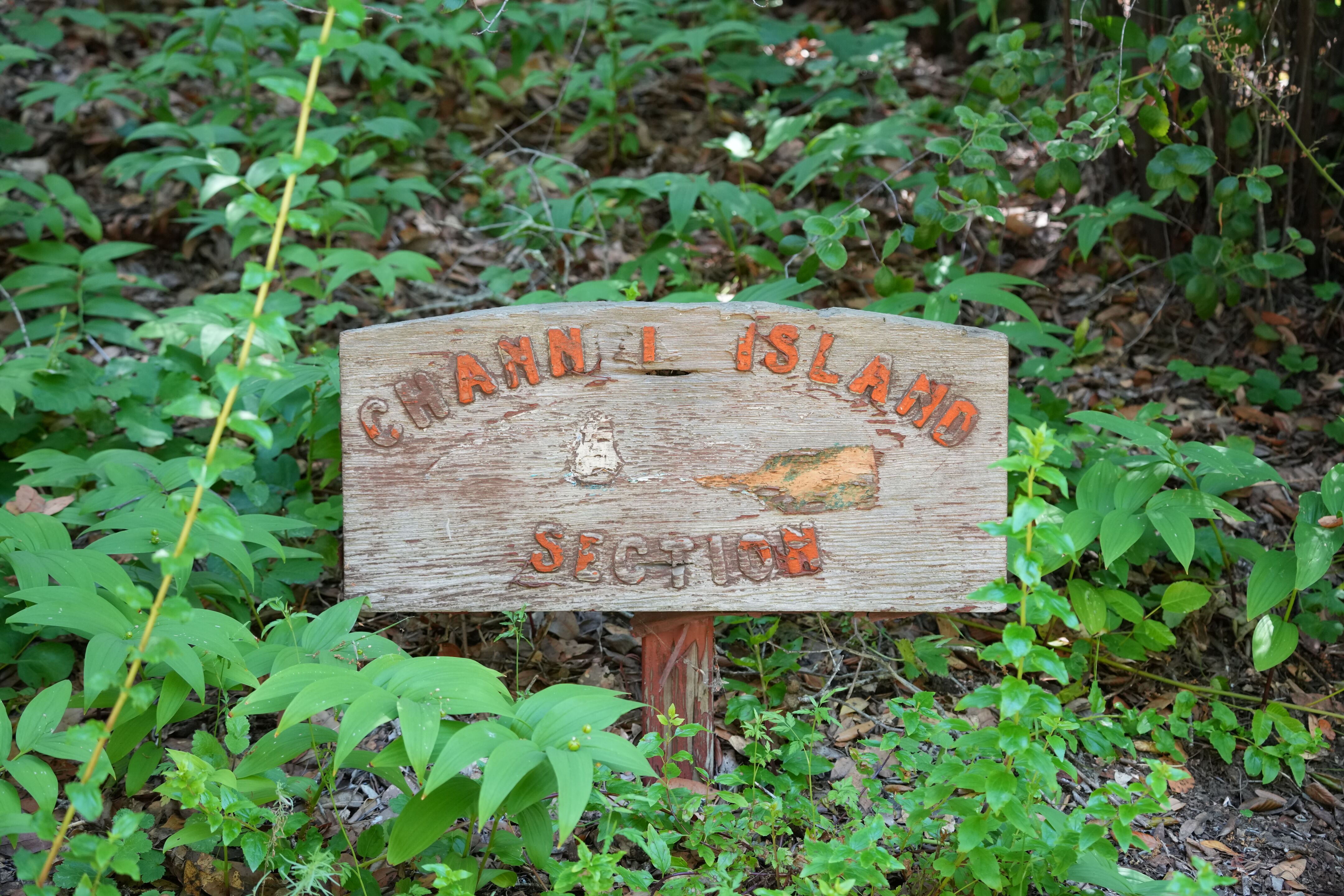 Tilden Regional Parks Botanic Garden
