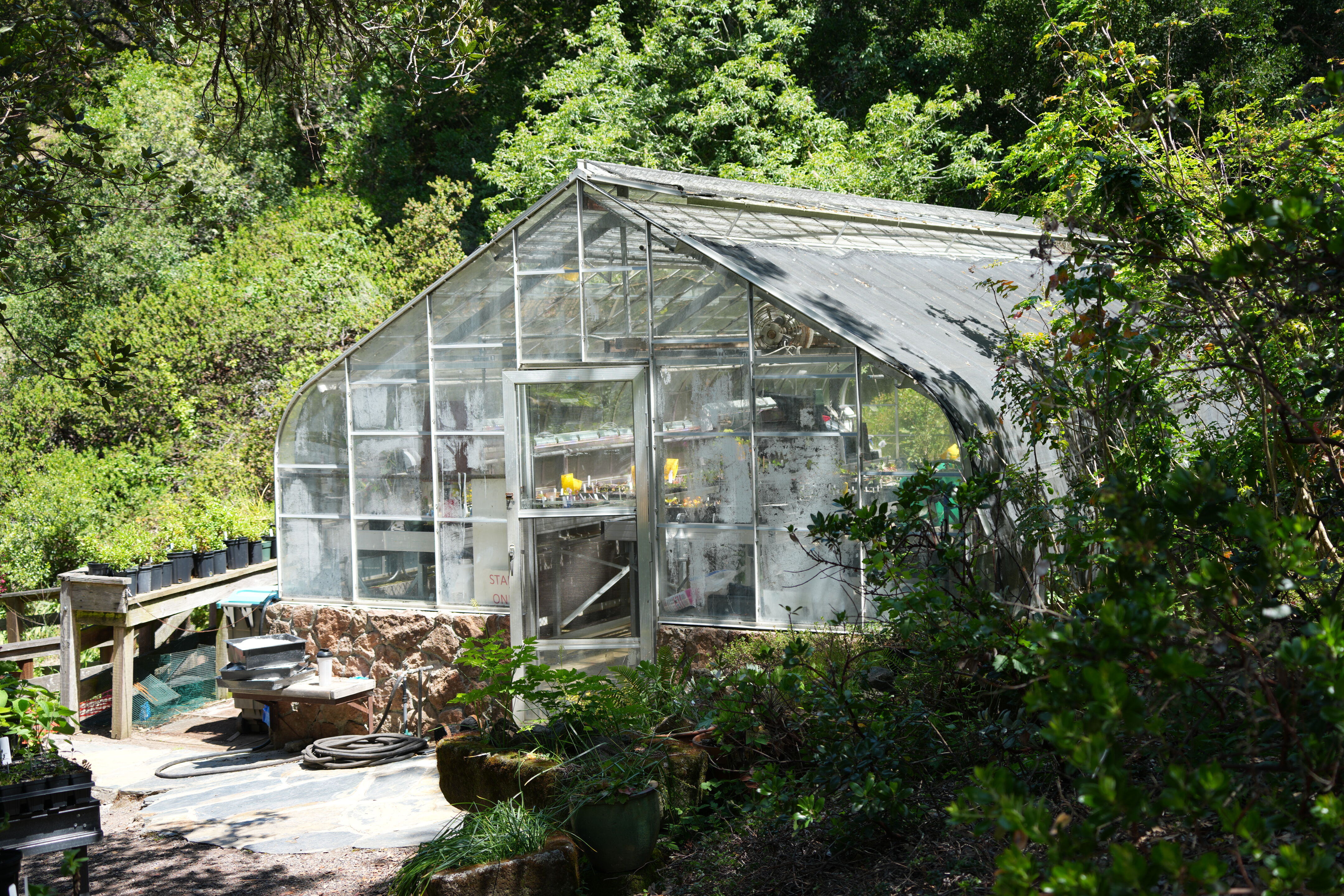 Tilden Regional Parks Botanic Garden