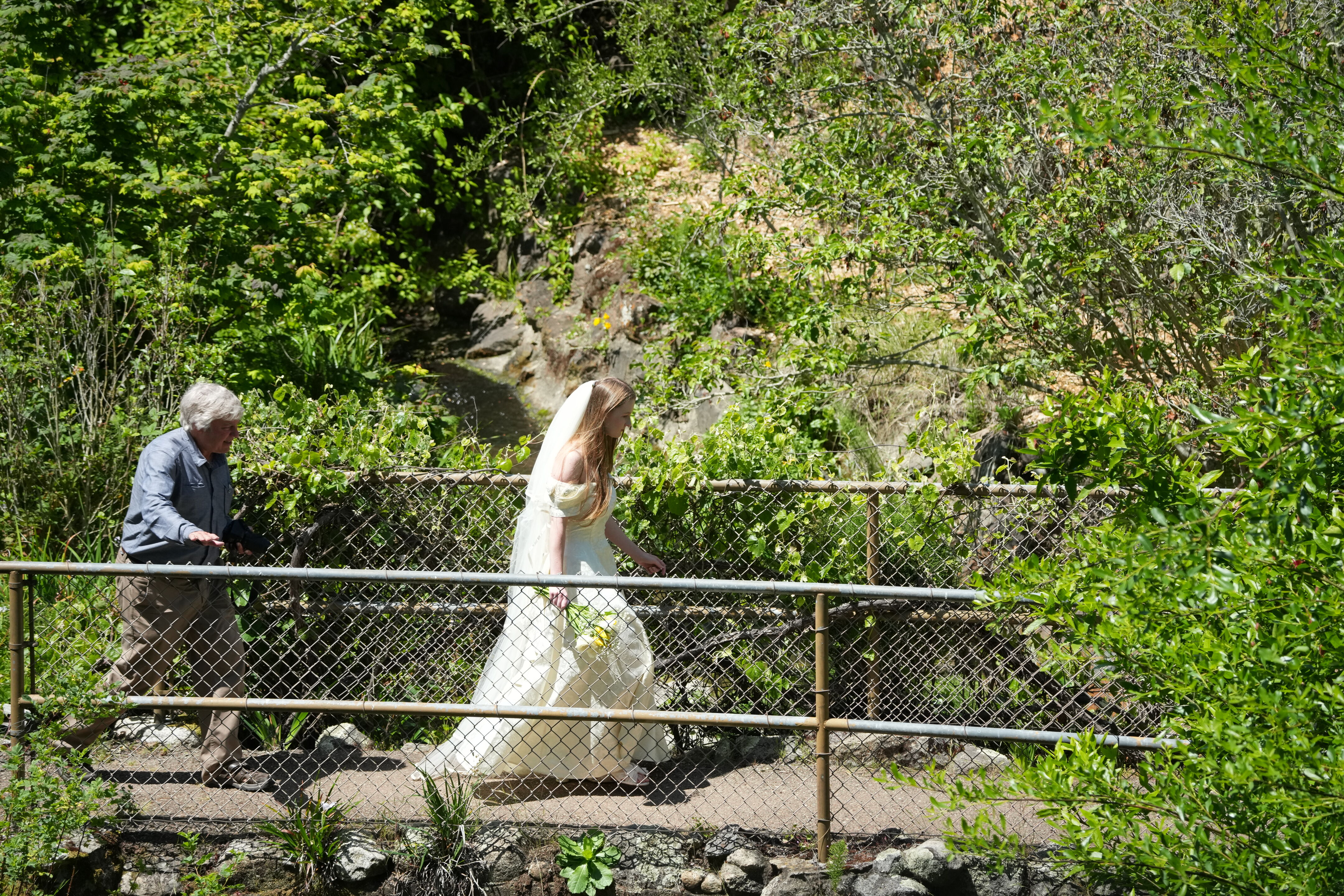 Tilden Regional Parks Botanic Garden