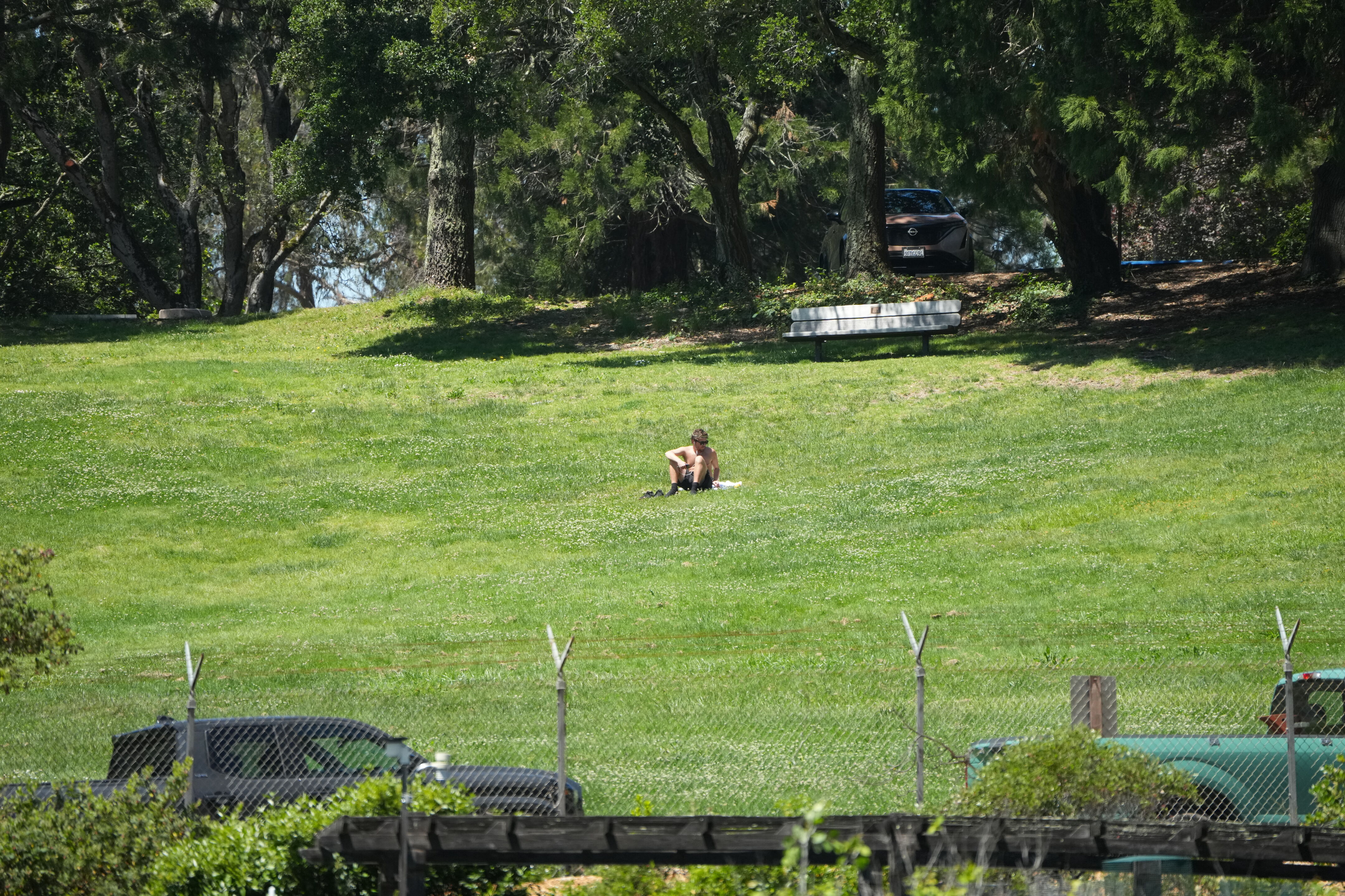 Tilden Regional Parks Botanic Garden