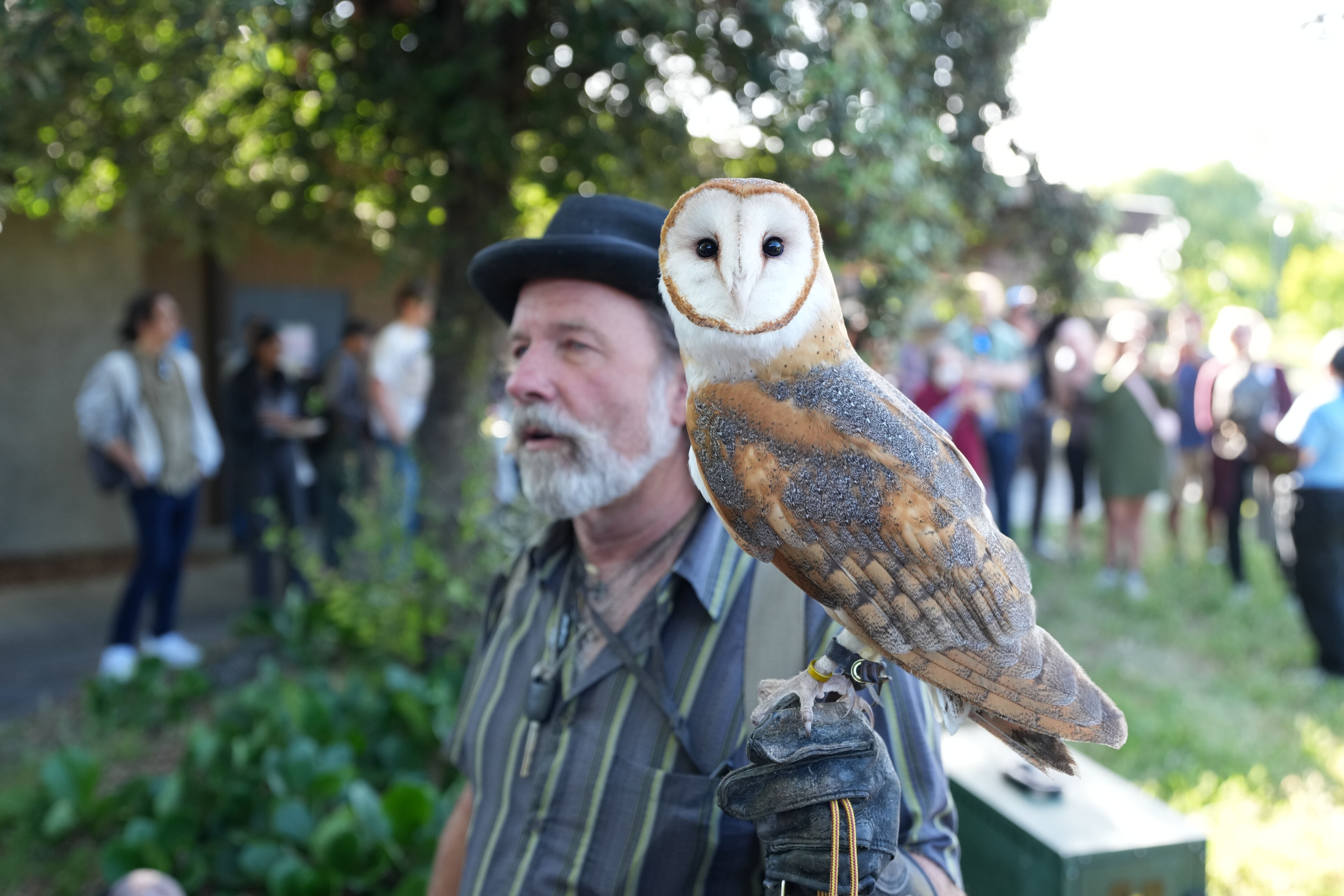 Wild and Scenic Film Festival