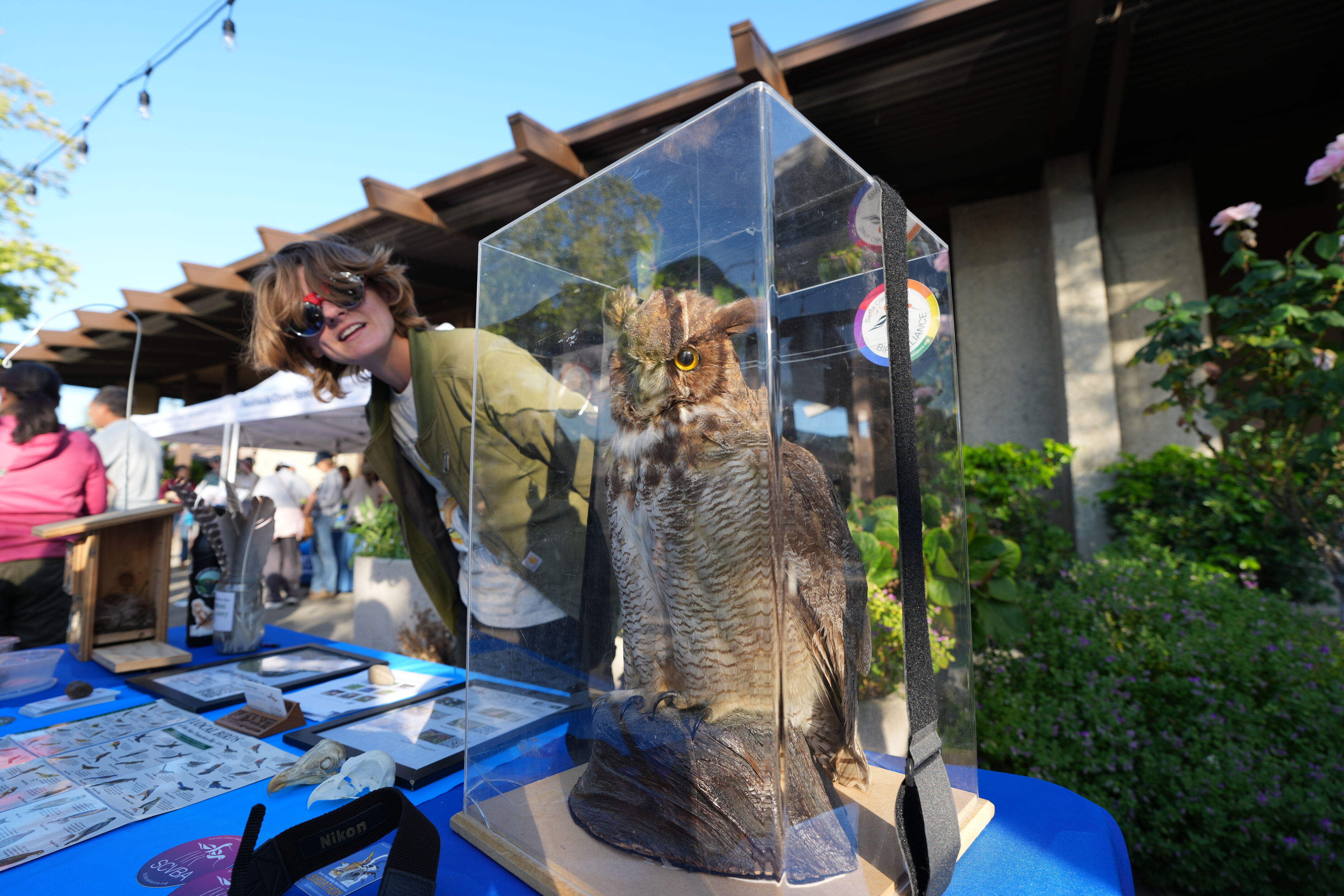 Wild and Scenic Film Festival