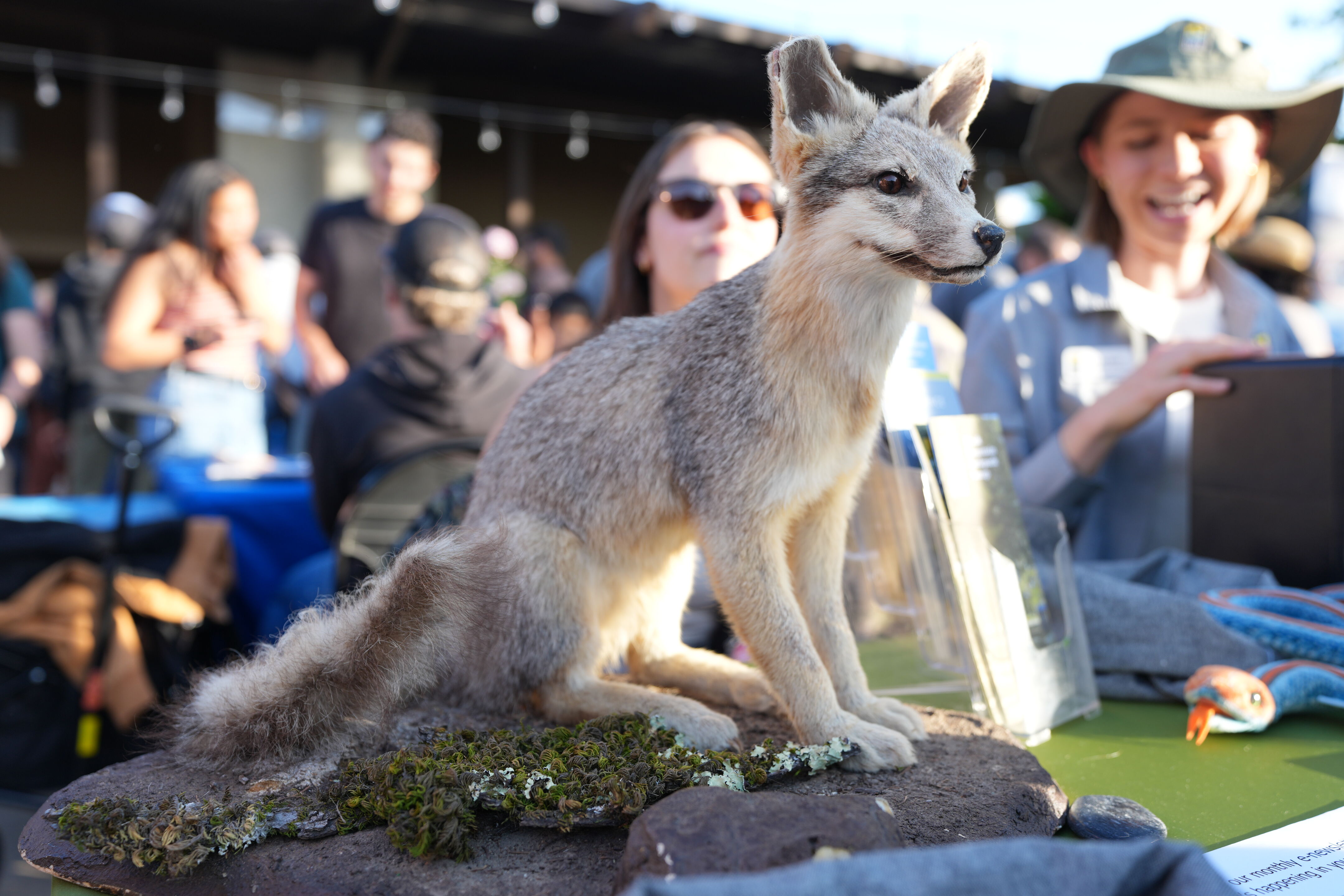 Wild and Scenic Film Festival