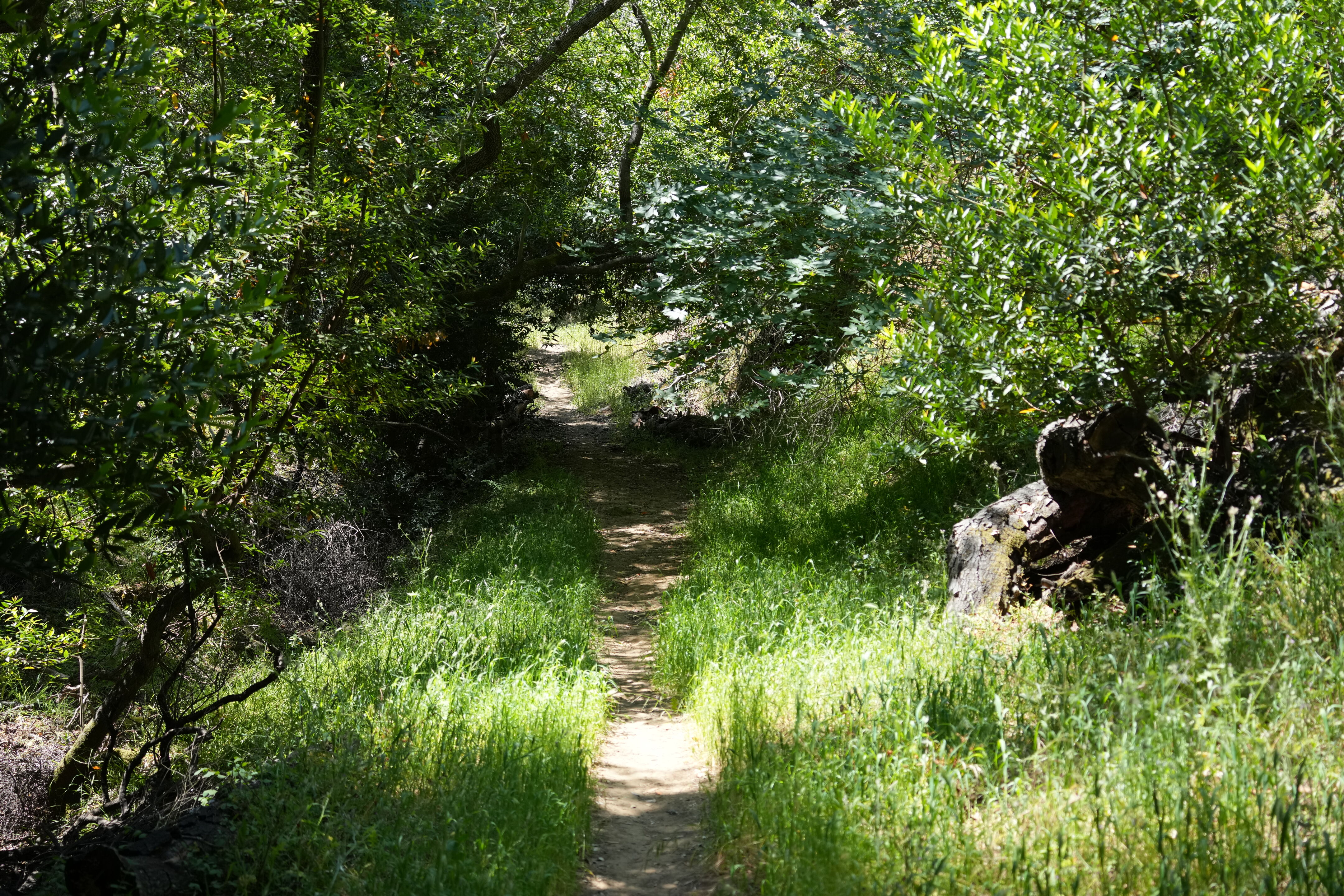 Carquinez Strait Regional Shoreline