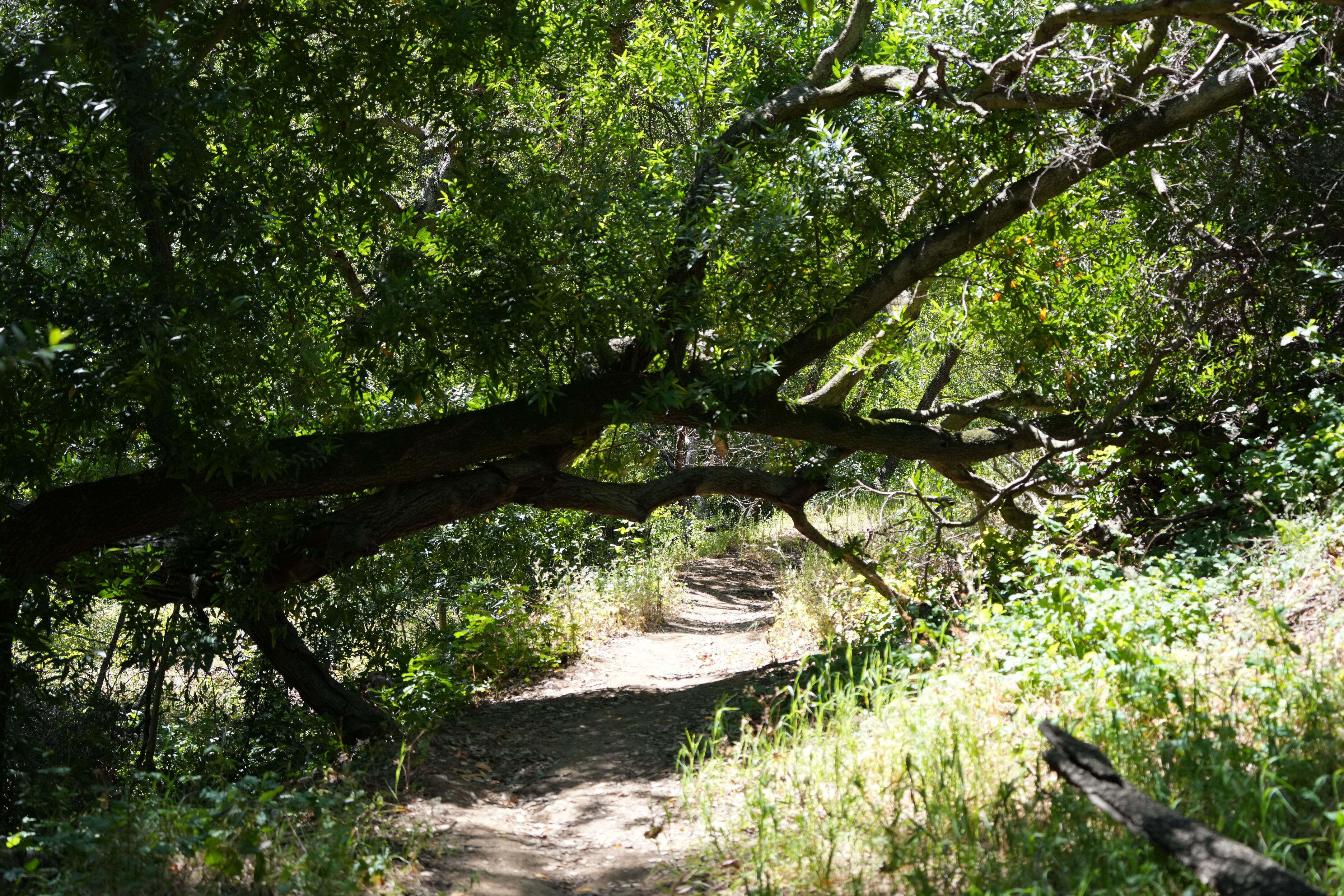 Carquinez Strait Regional Shoreline