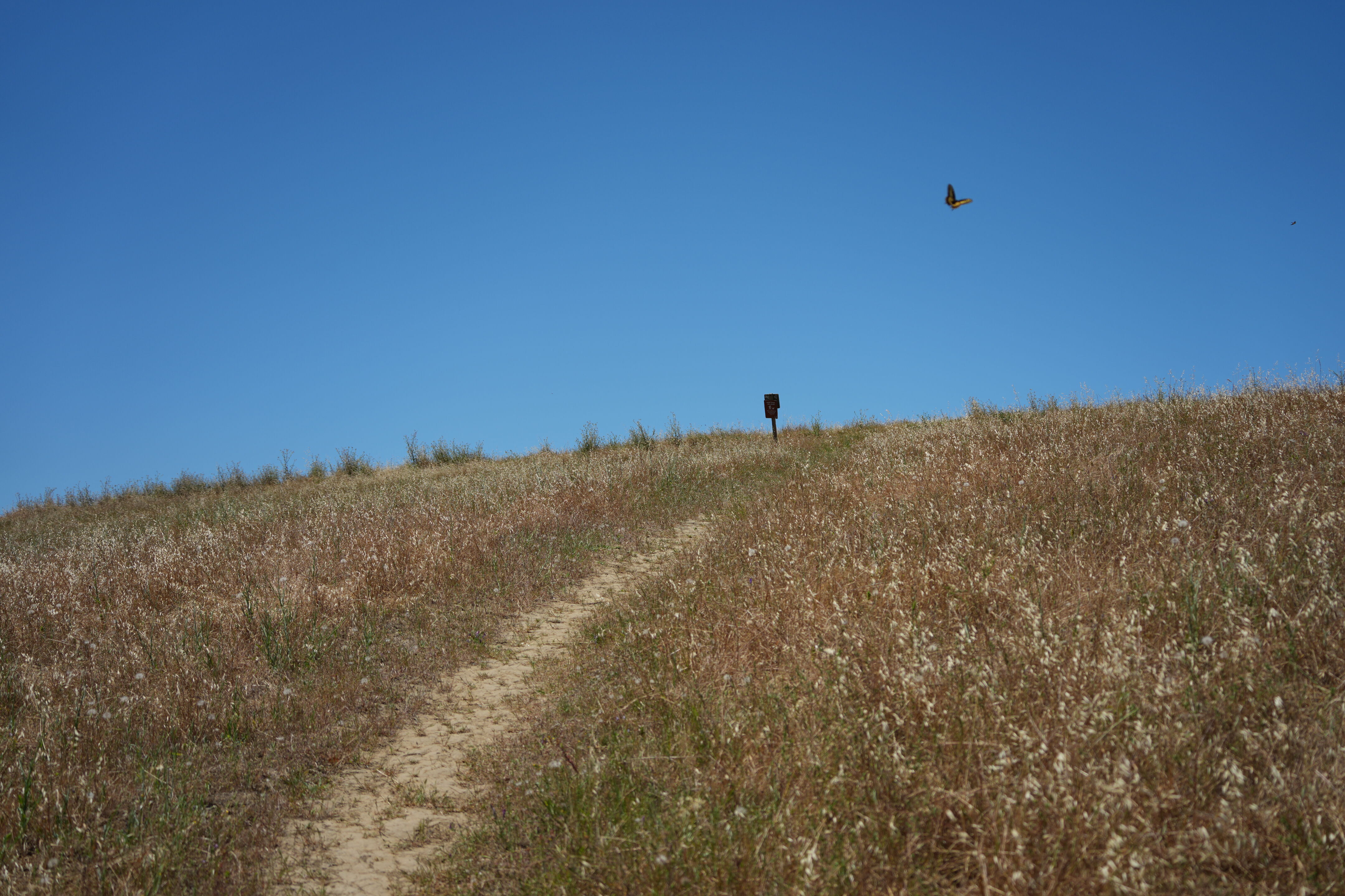 Carquinez Strait Regional Shoreline