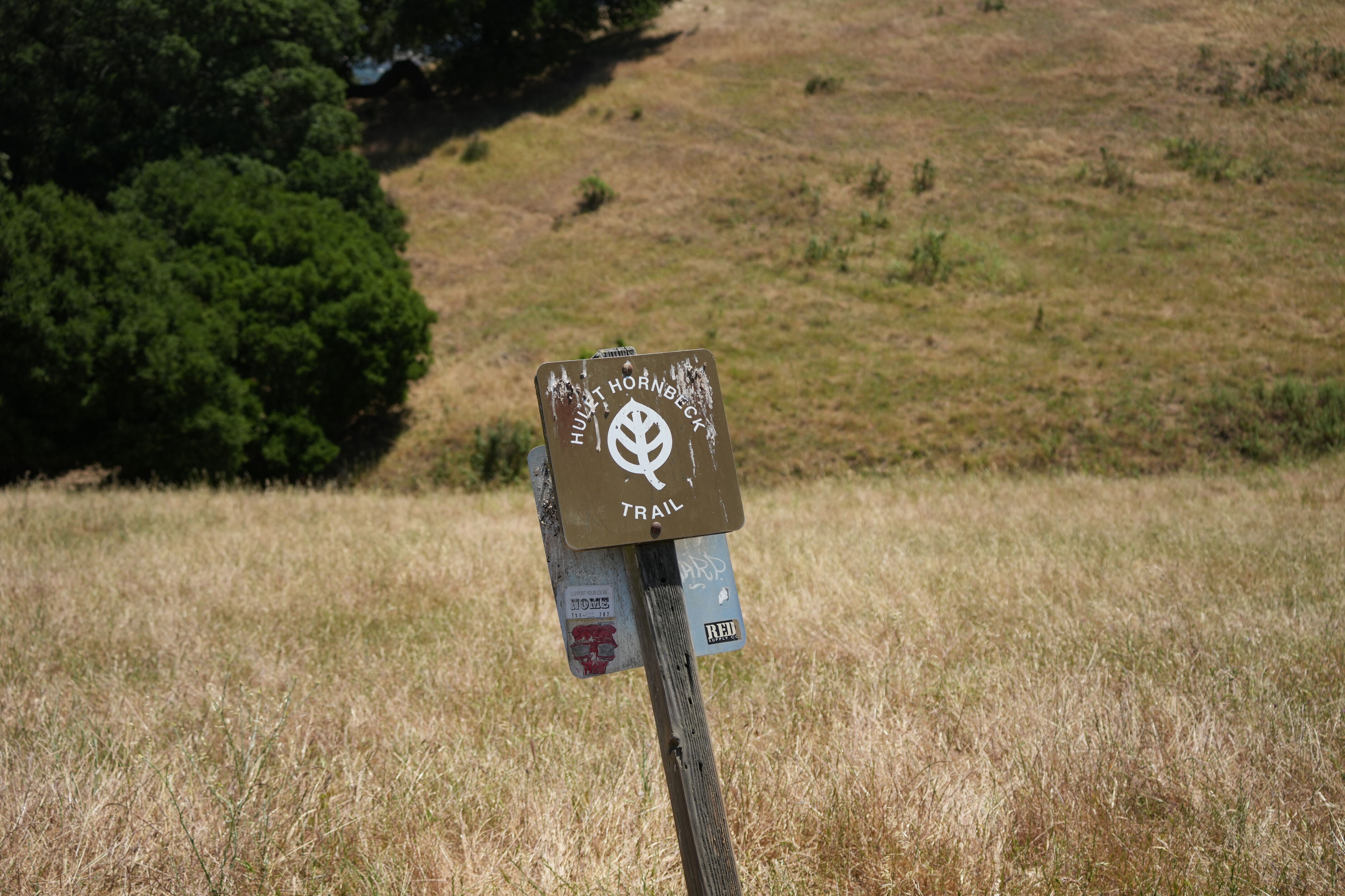 Carquinez Strait Regional Shoreline