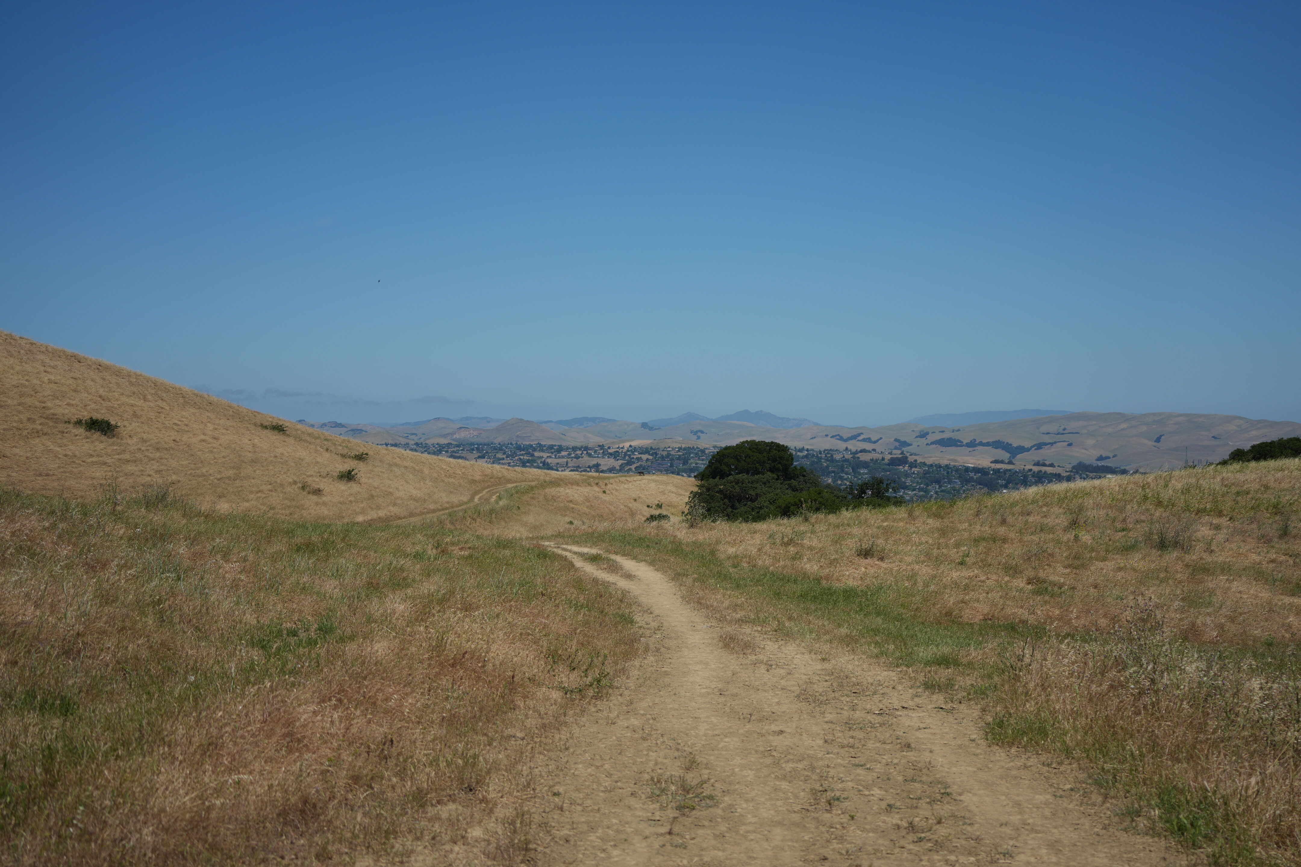 Carquinez Strait Regional Shoreline