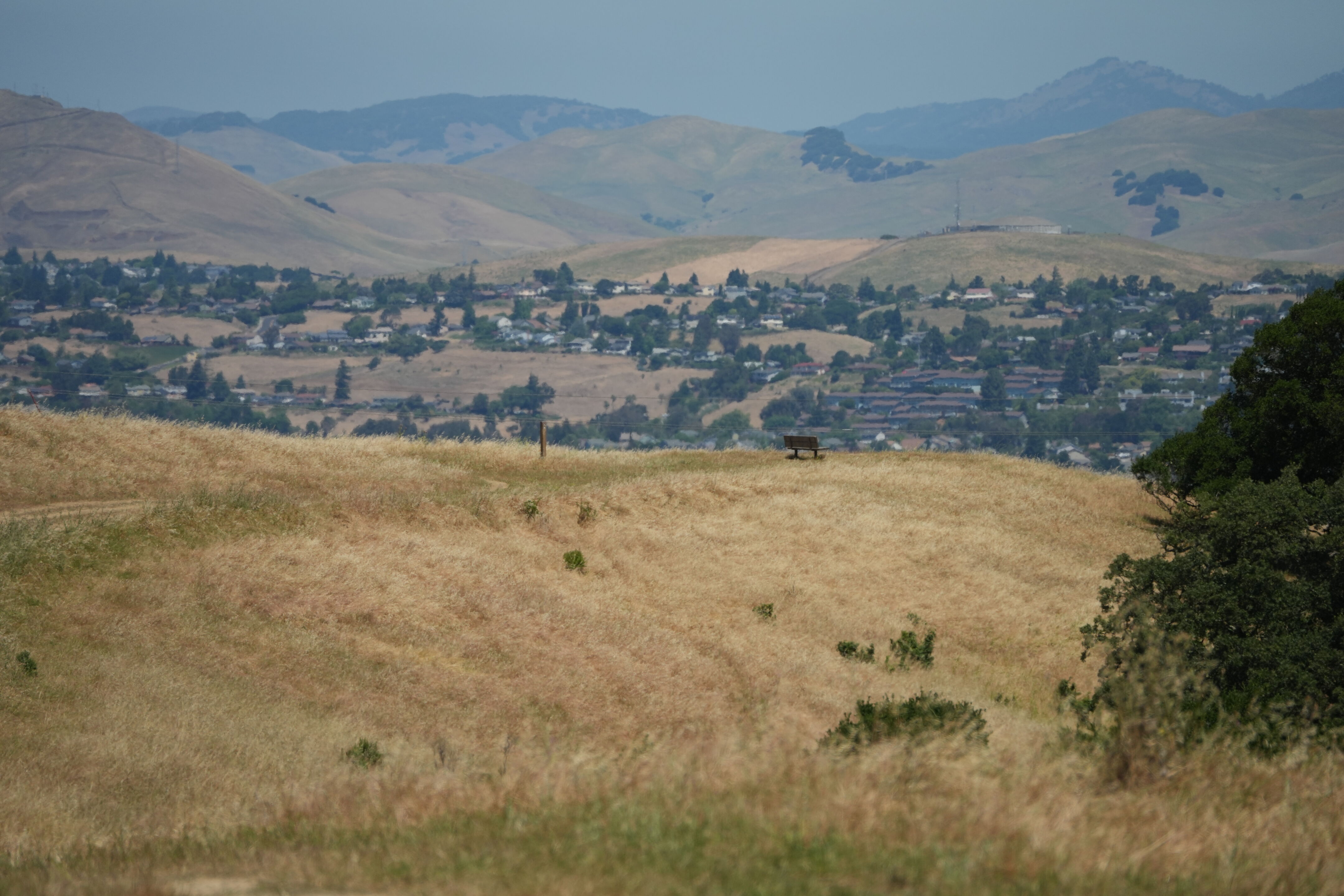 Carquinez Strait Regional Shoreline