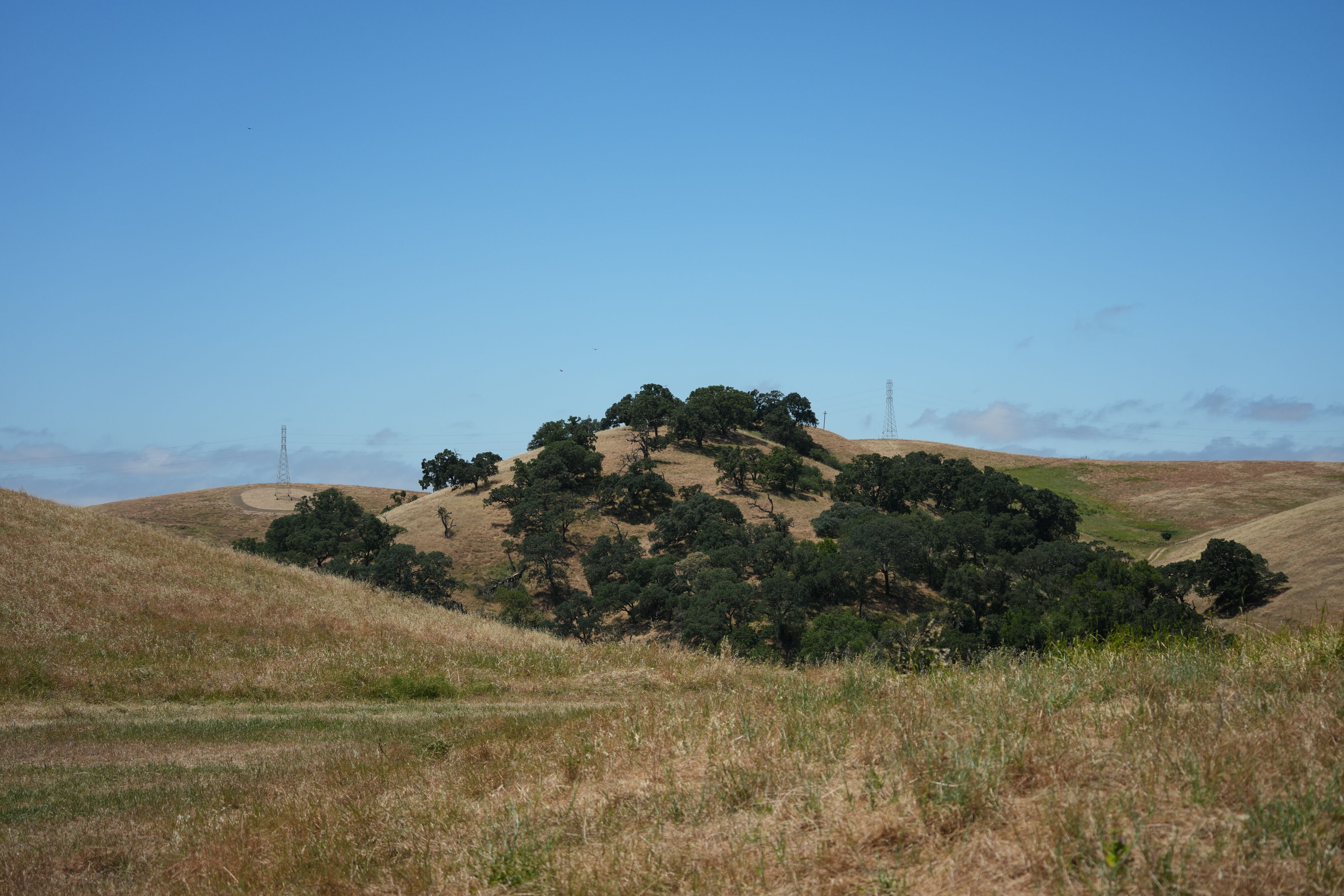Carquinez Strait Regional Shoreline