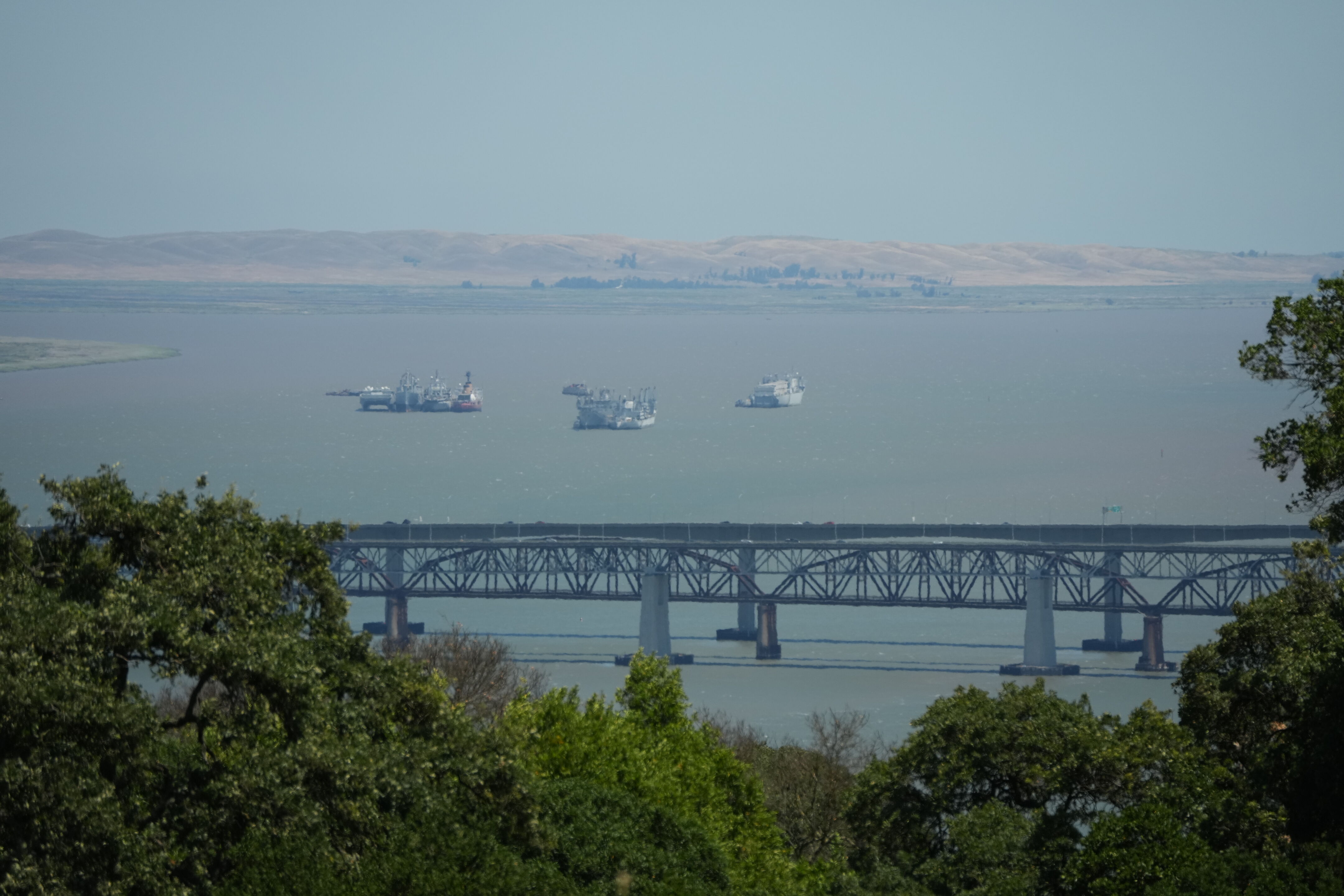 Carquinez Strait Regional Shoreline