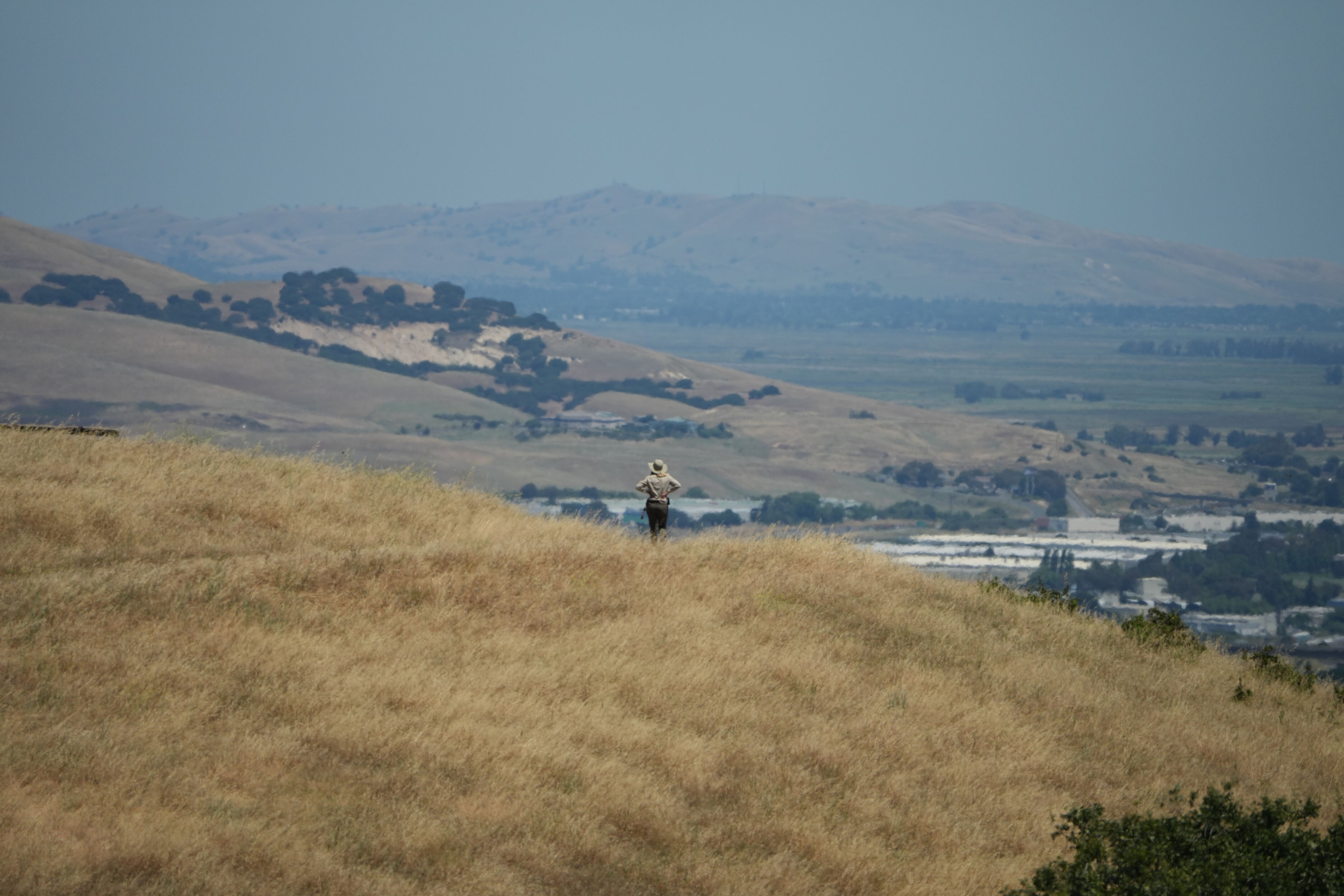 Carquinez Strait Regional Shoreline