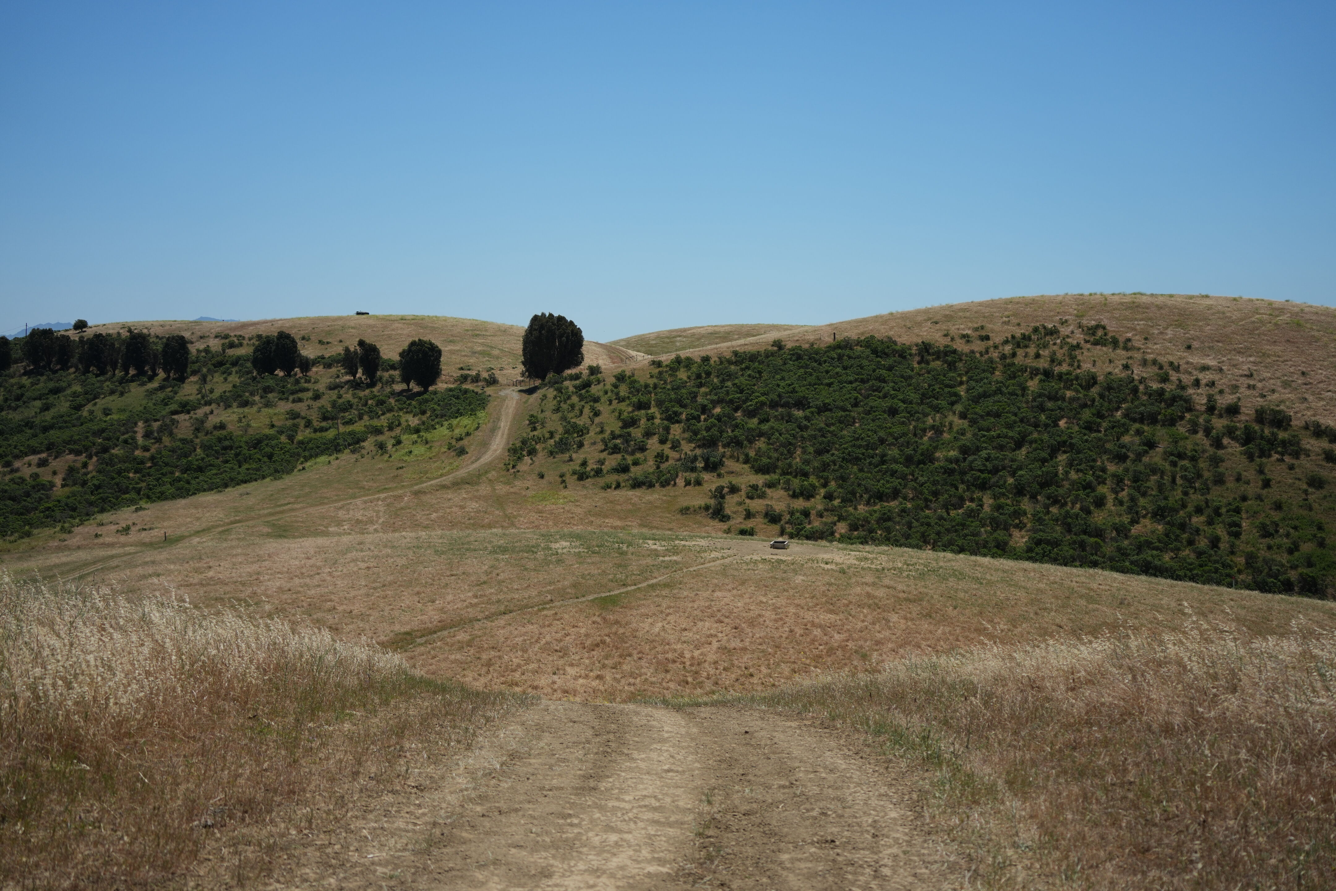 Carquinez Strait Regional Shoreline