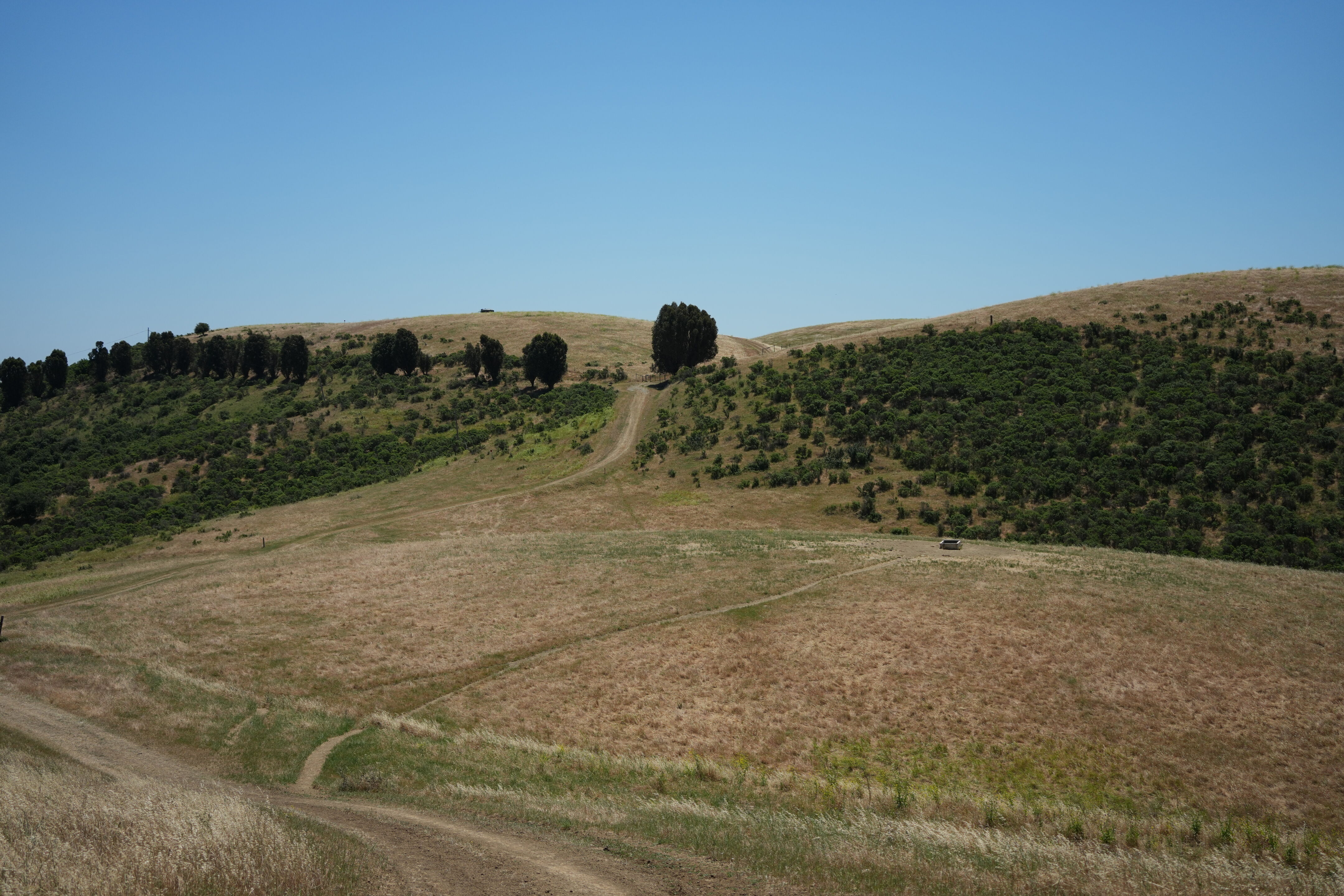 Carquinez Strait Regional Shoreline