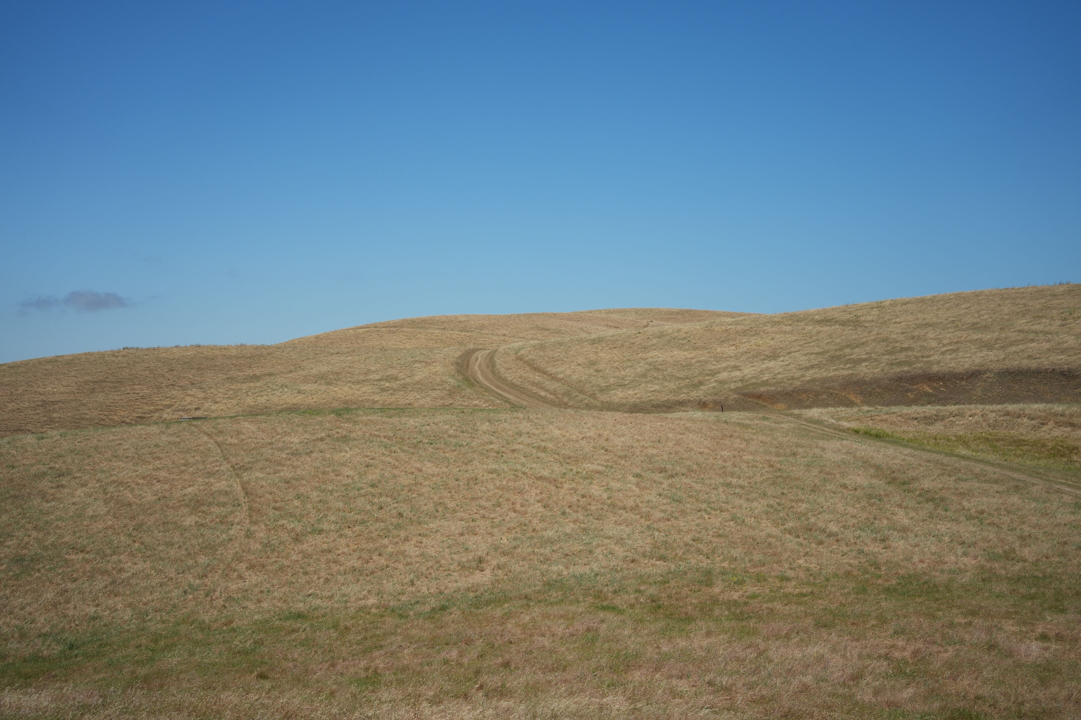 Carquinez Strait Regional Shoreline