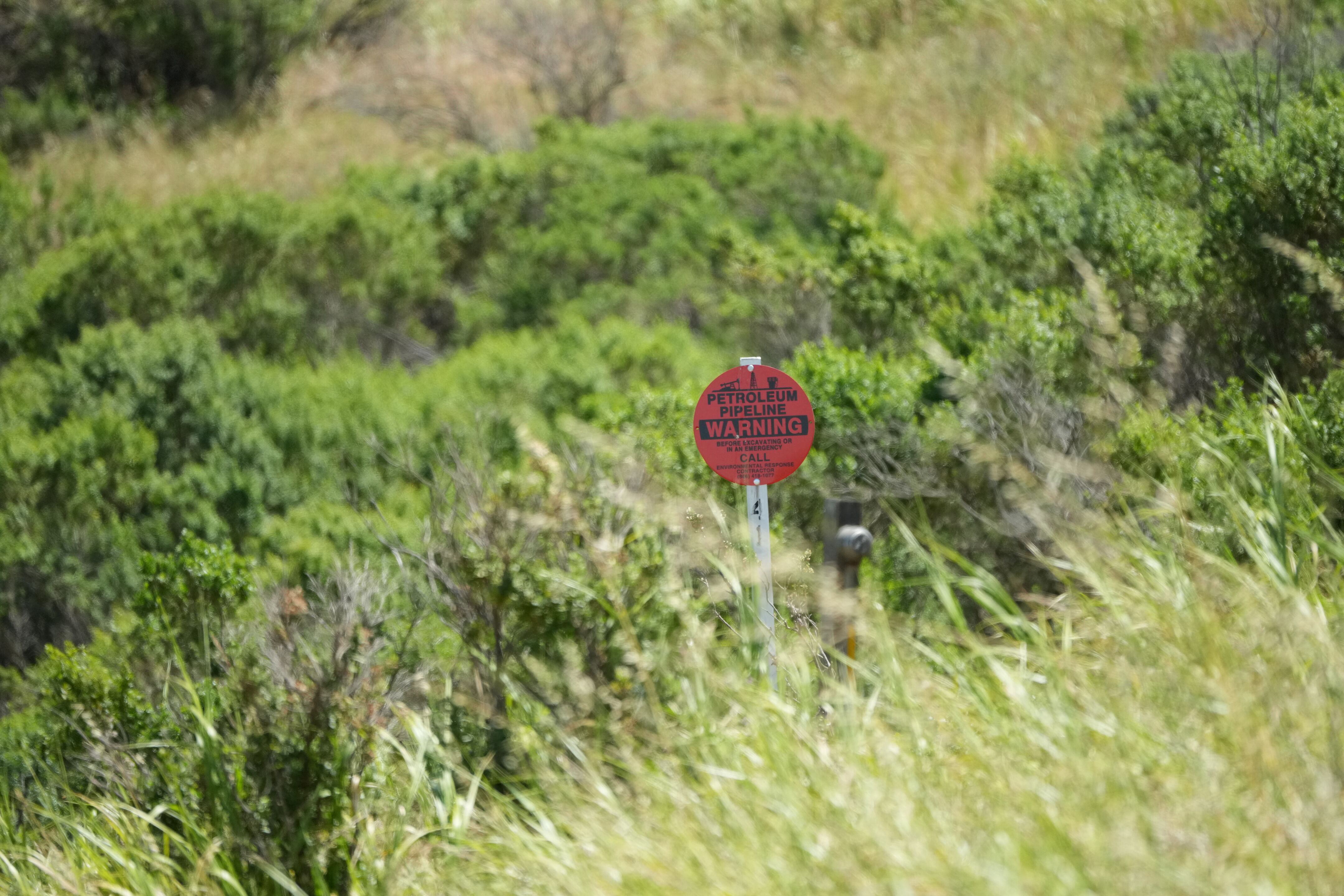 Carquinez Strait Regional Shoreline