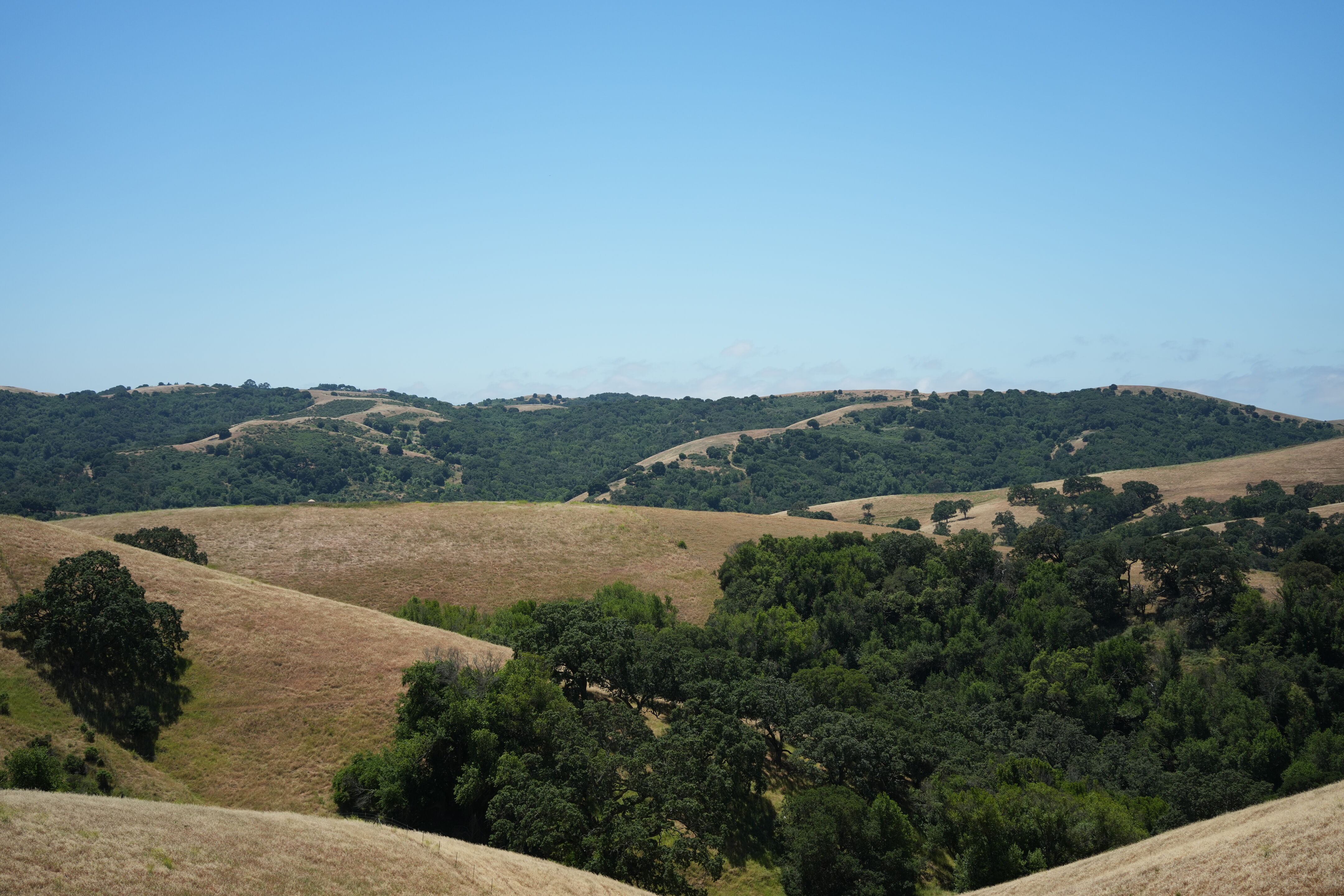 Carquinez Strait Regional Shoreline