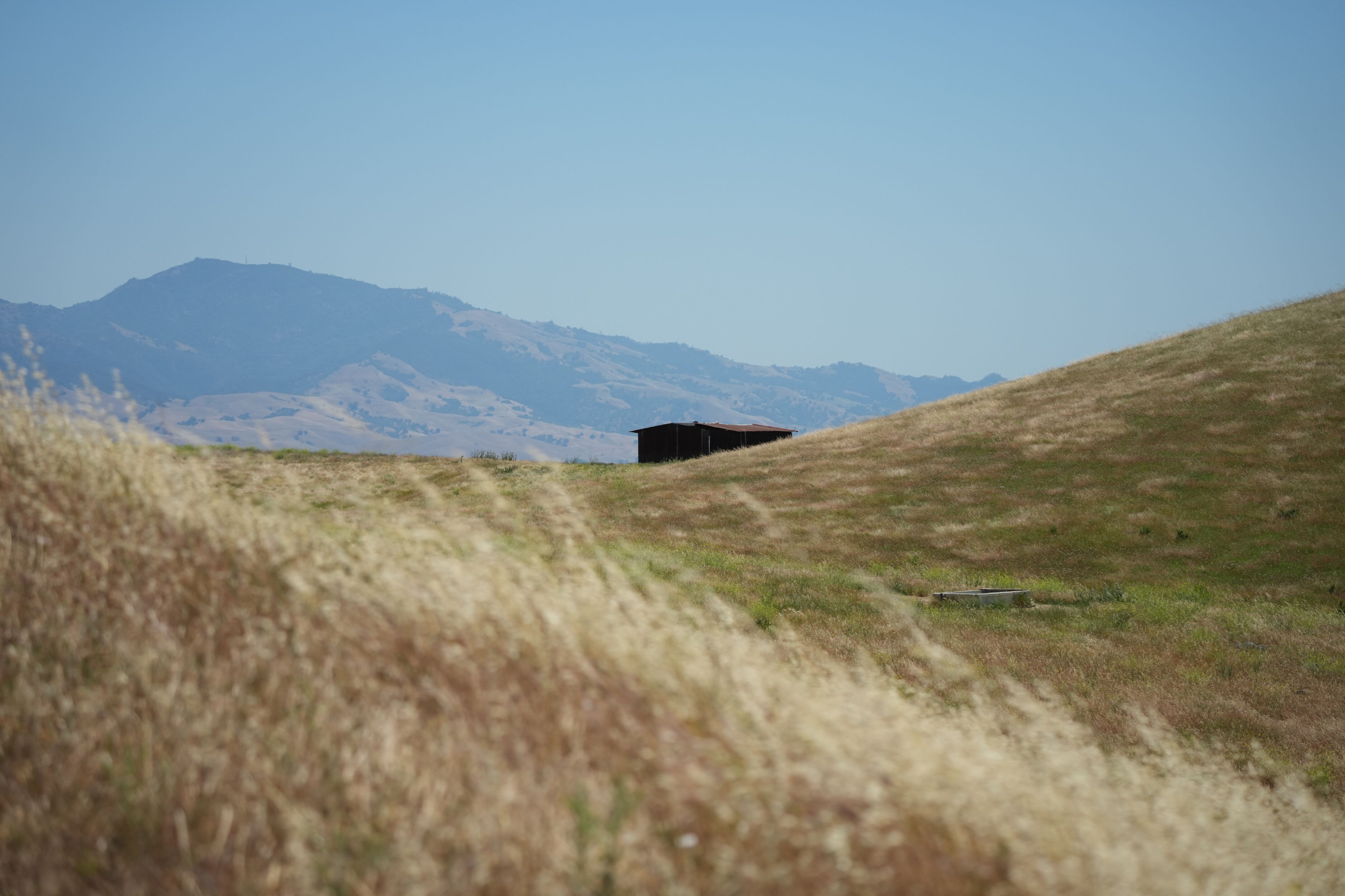 Carquinez Strait Regional Shoreline